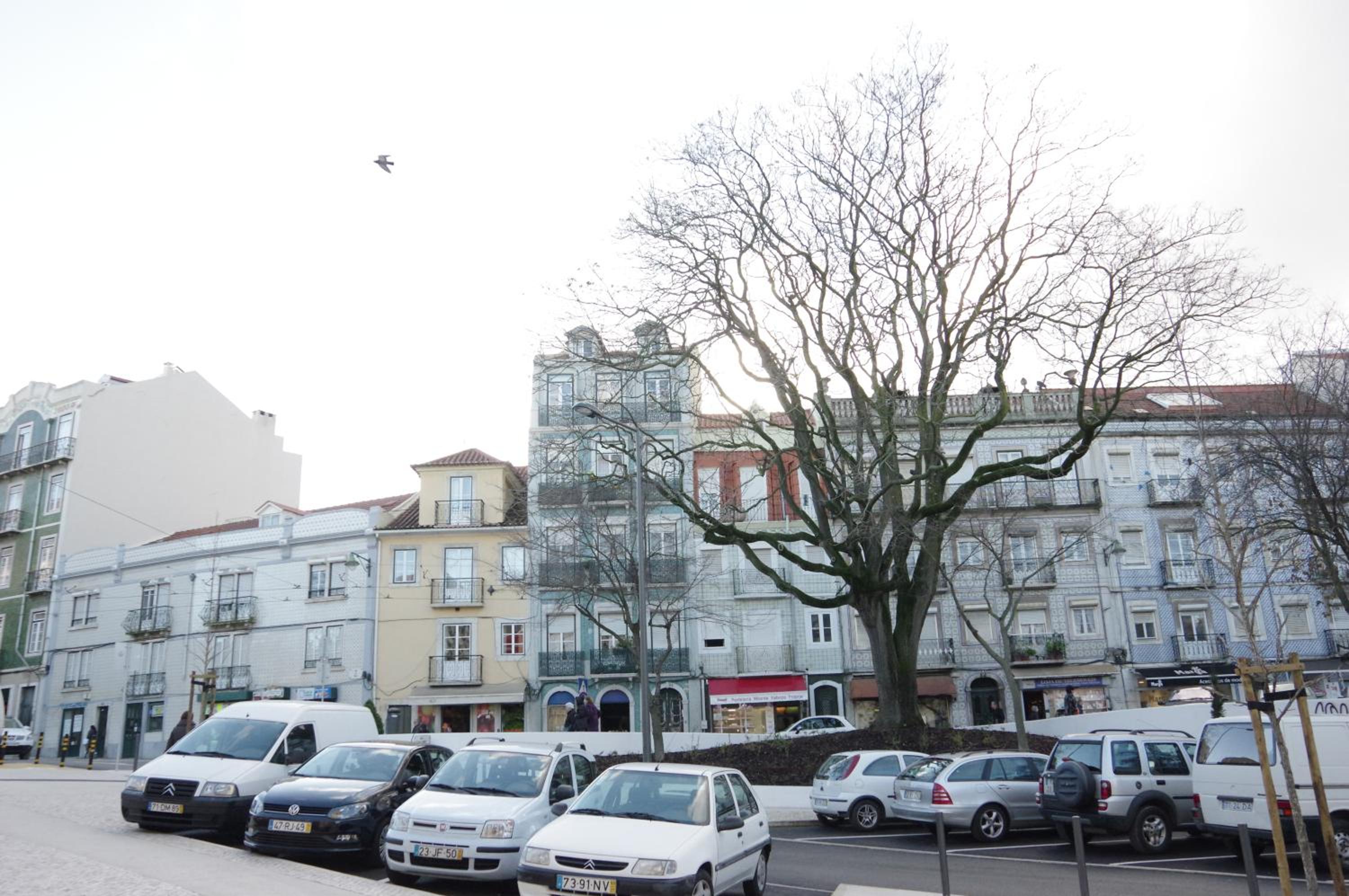 Photo 41