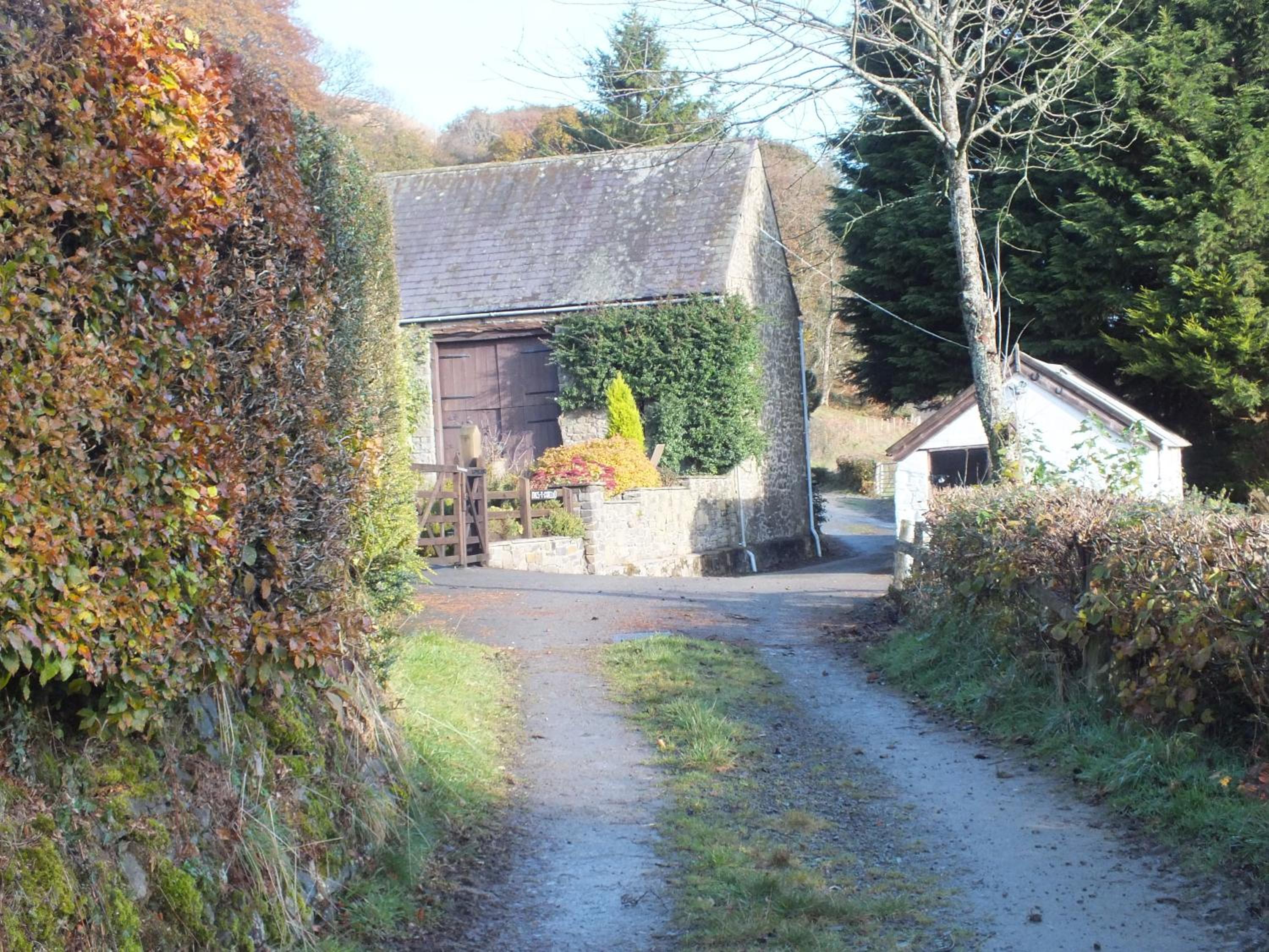 Photo 16