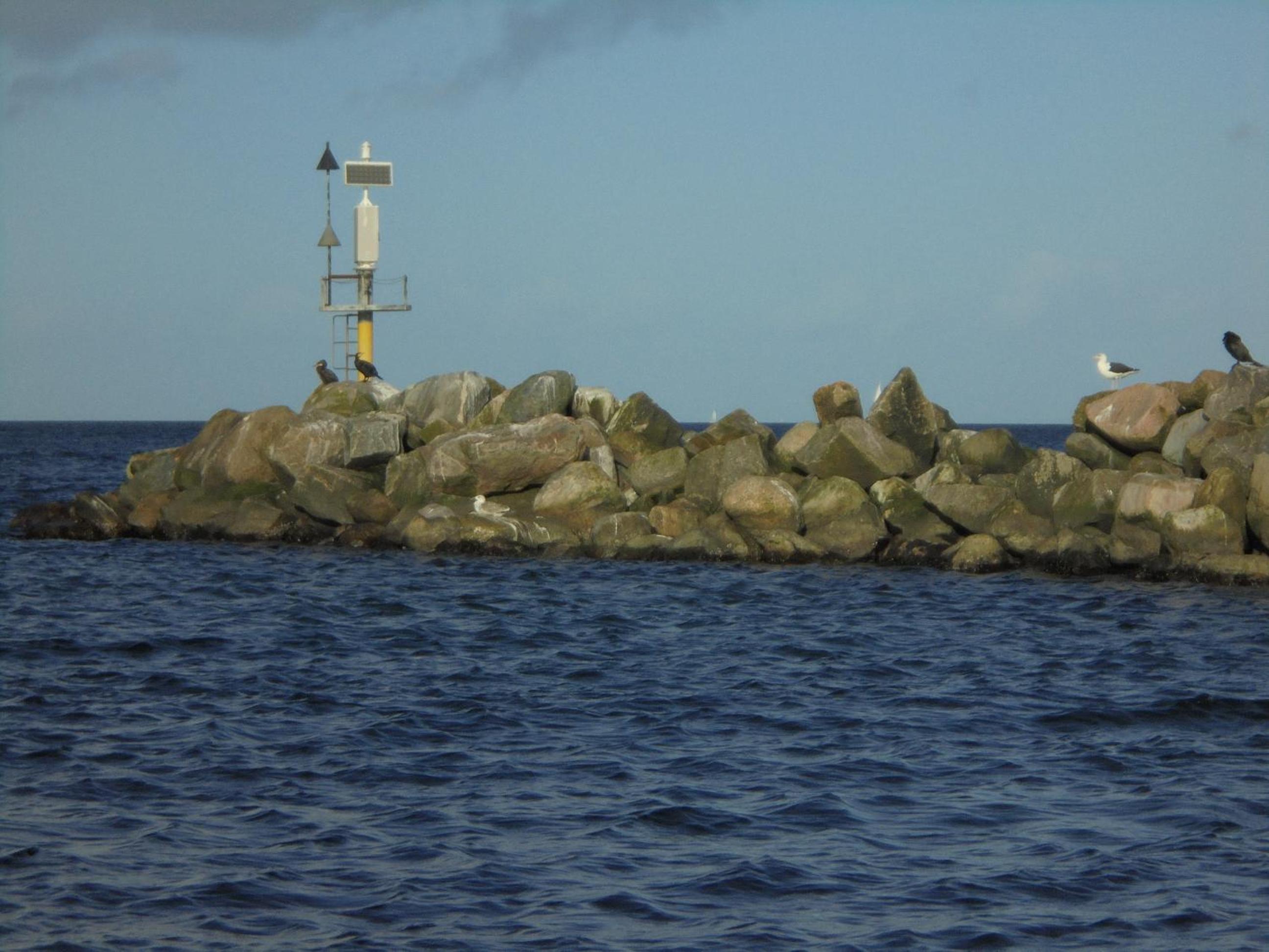 Ostseestern