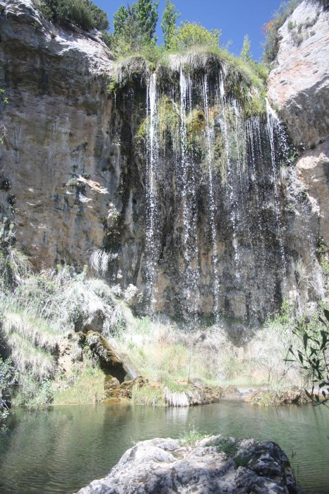 Photo 31