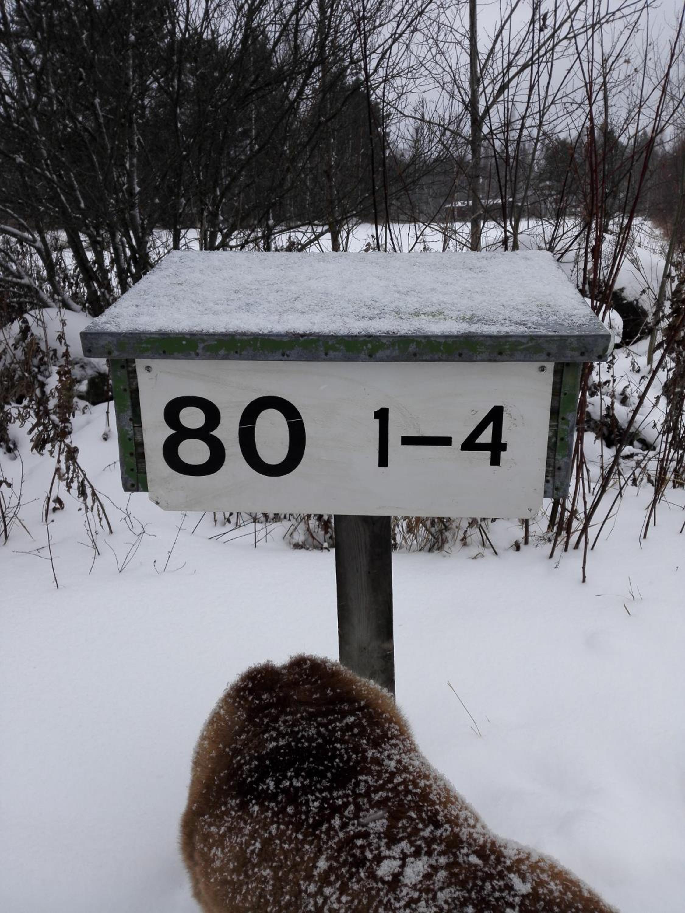 Photo 13