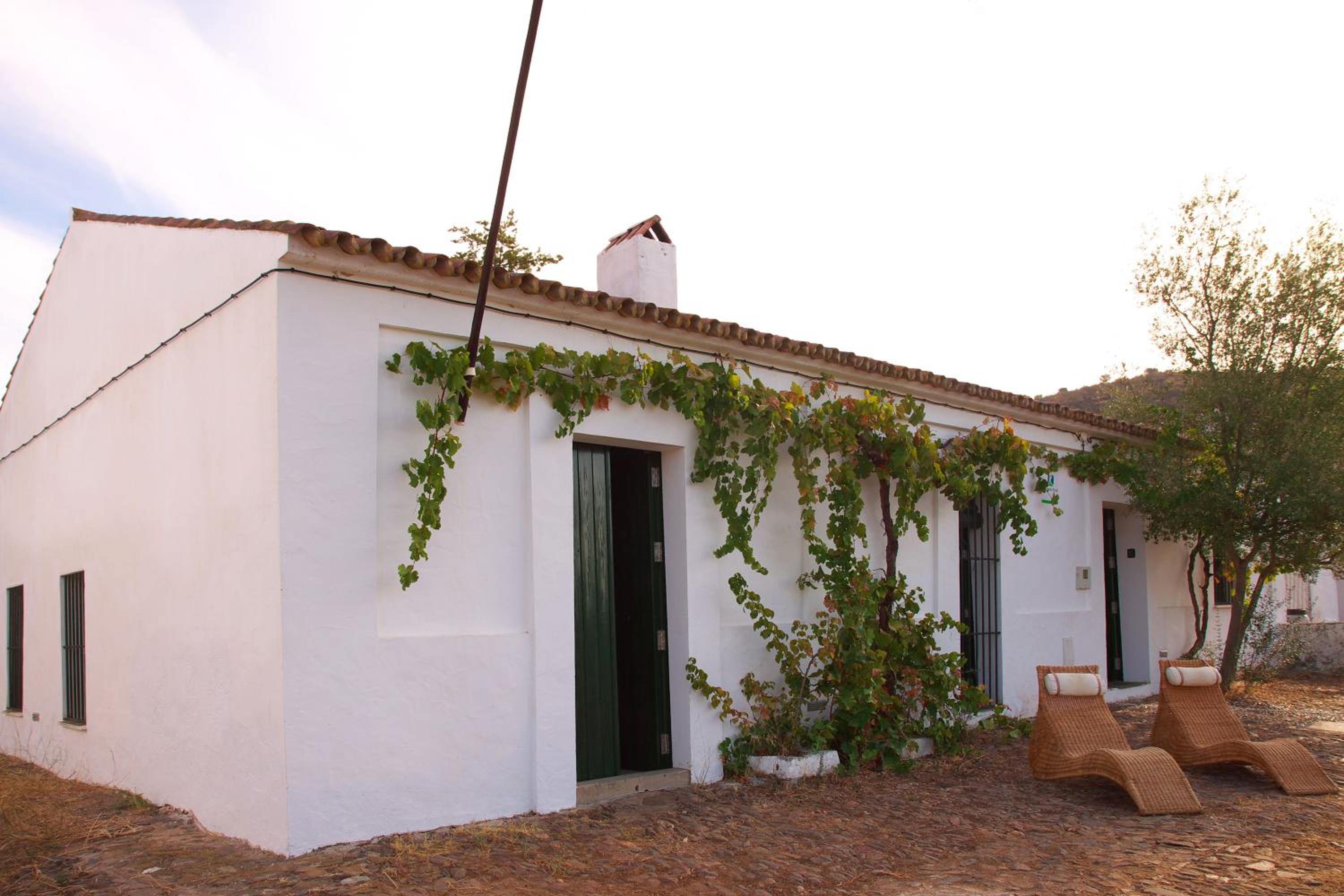 Casa del Ingeniero ,4 Hab 8 Pers Alberca, barbacoa view 4