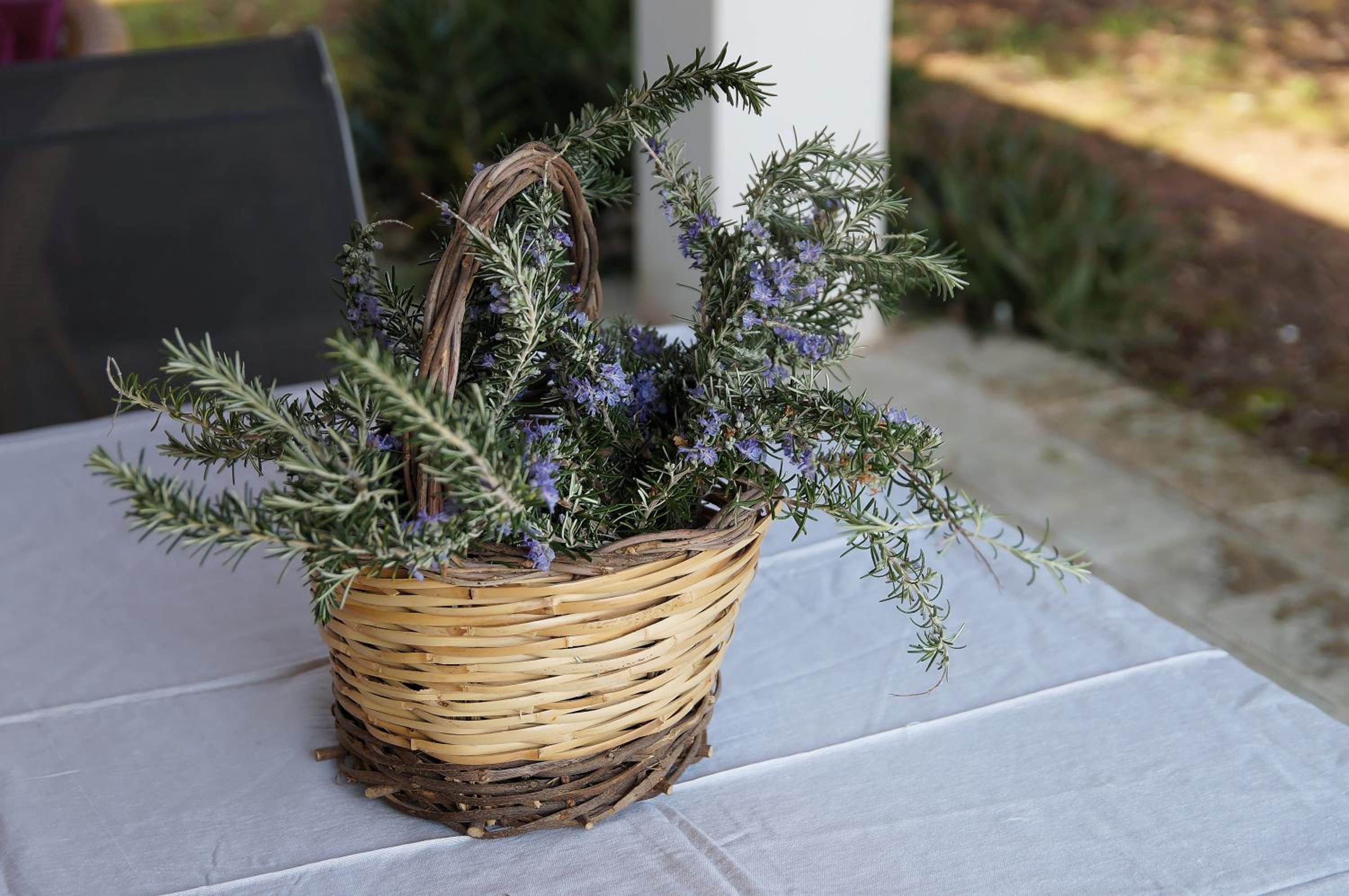 Agriturismo Calamate