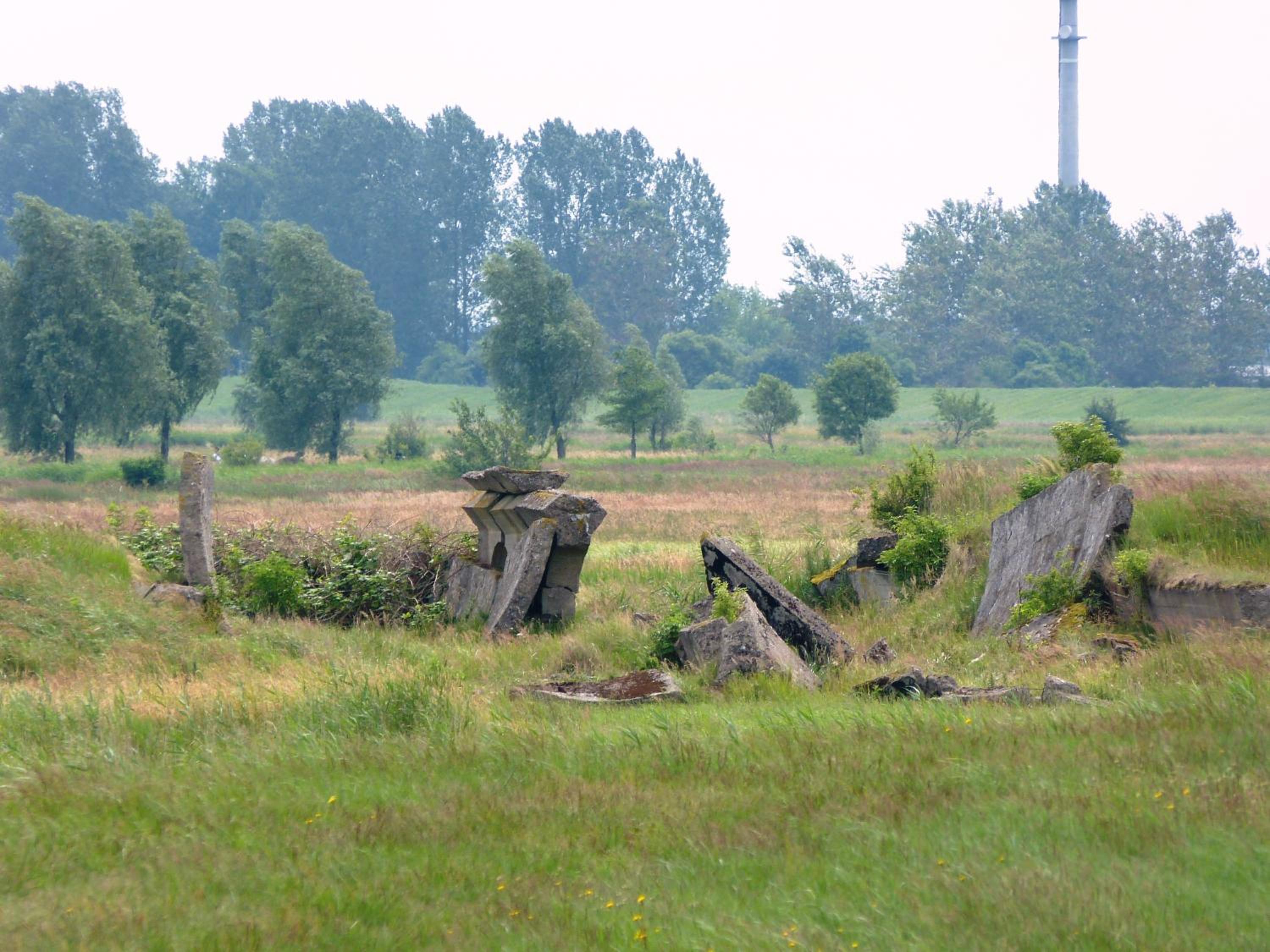 Photo 43