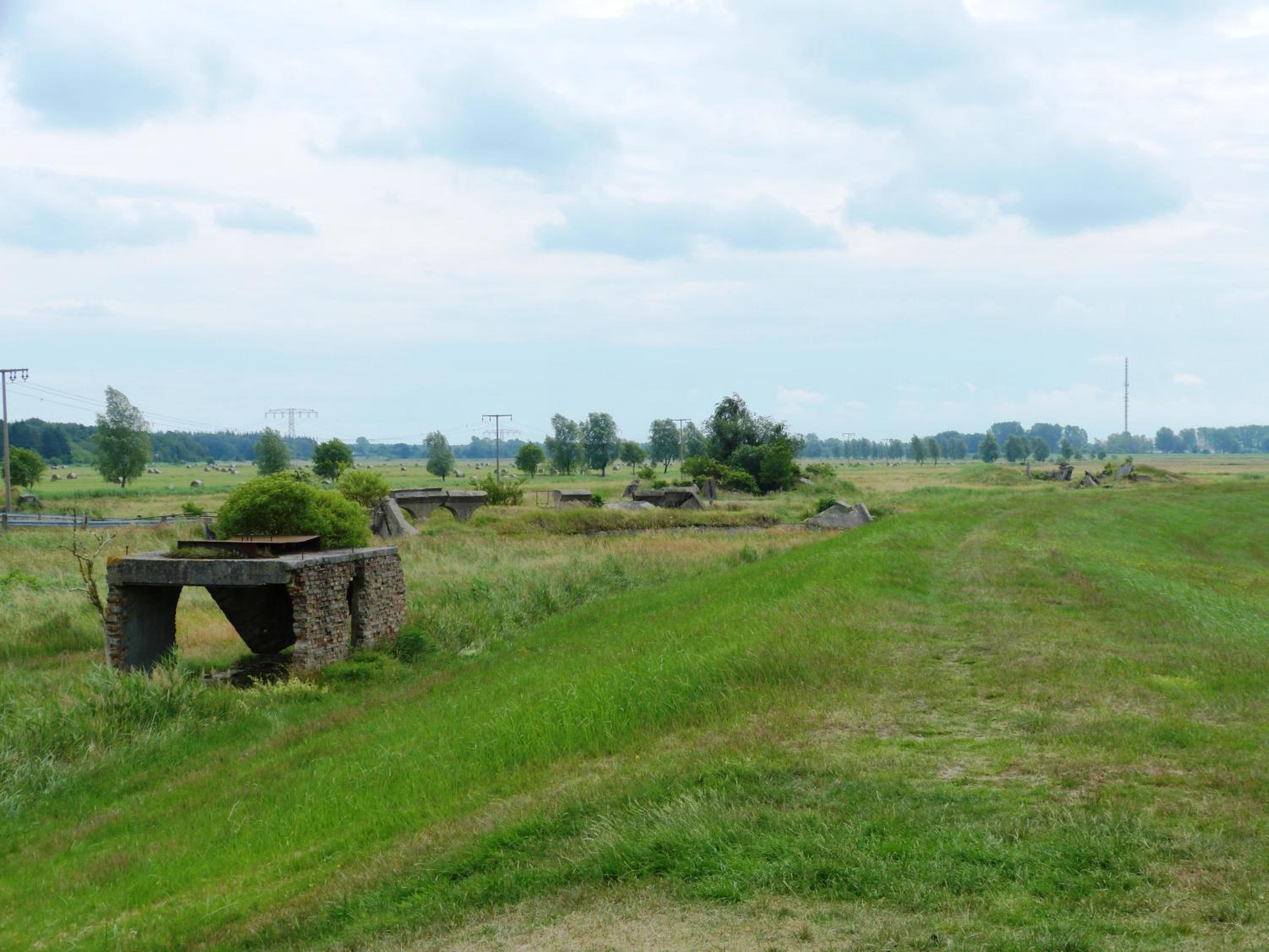 Photo 42