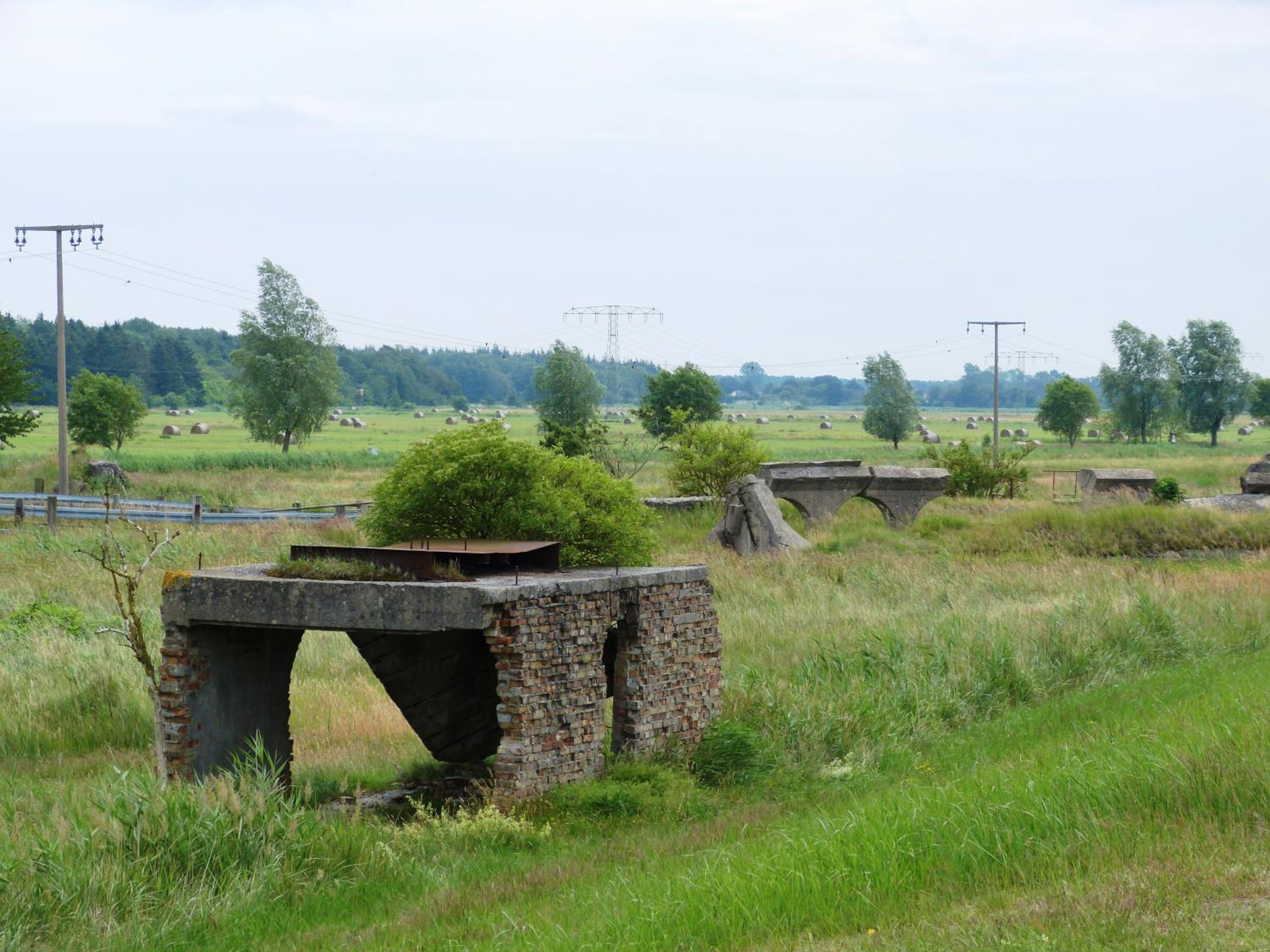 Photo 45