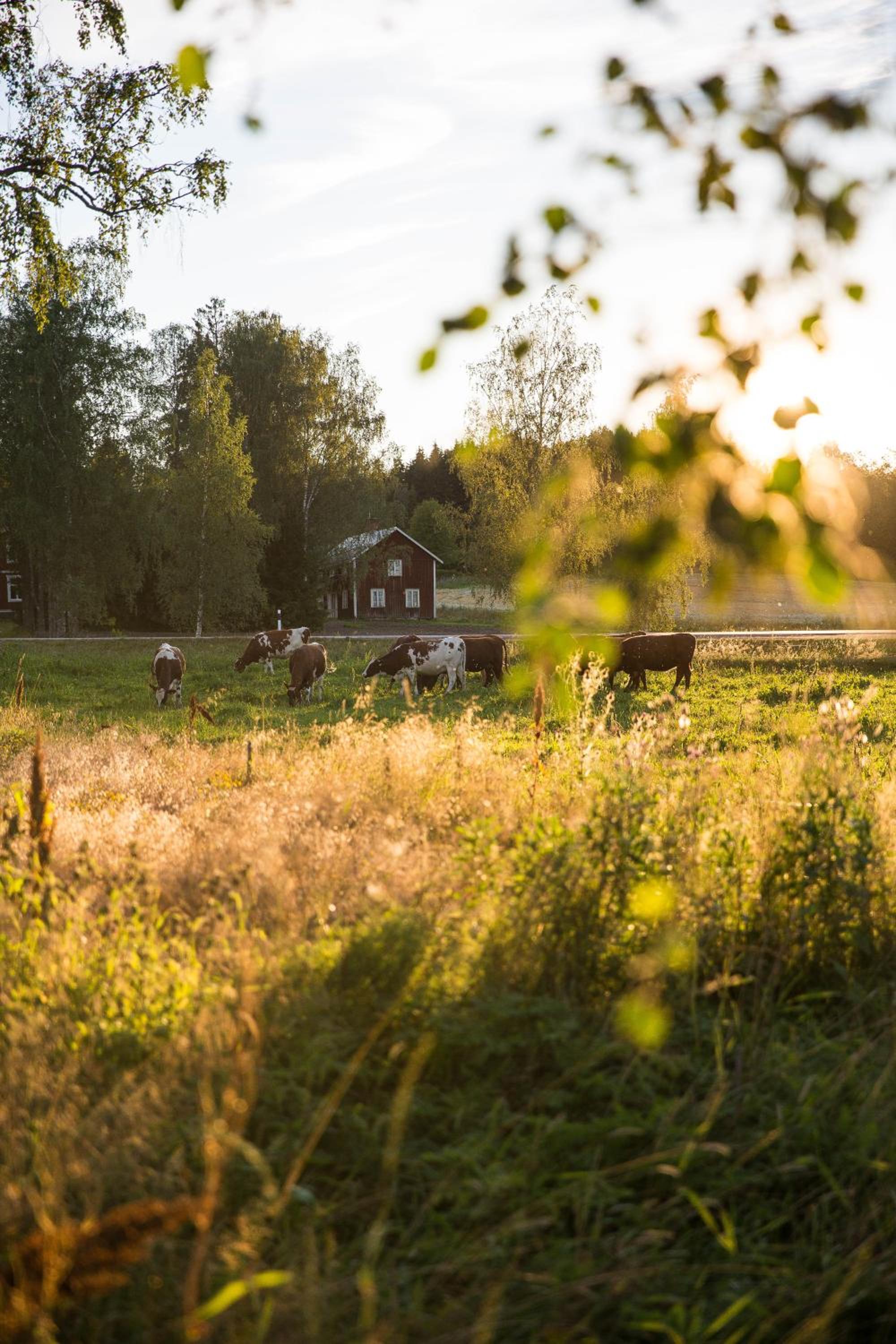 Ulvsby Herrgård