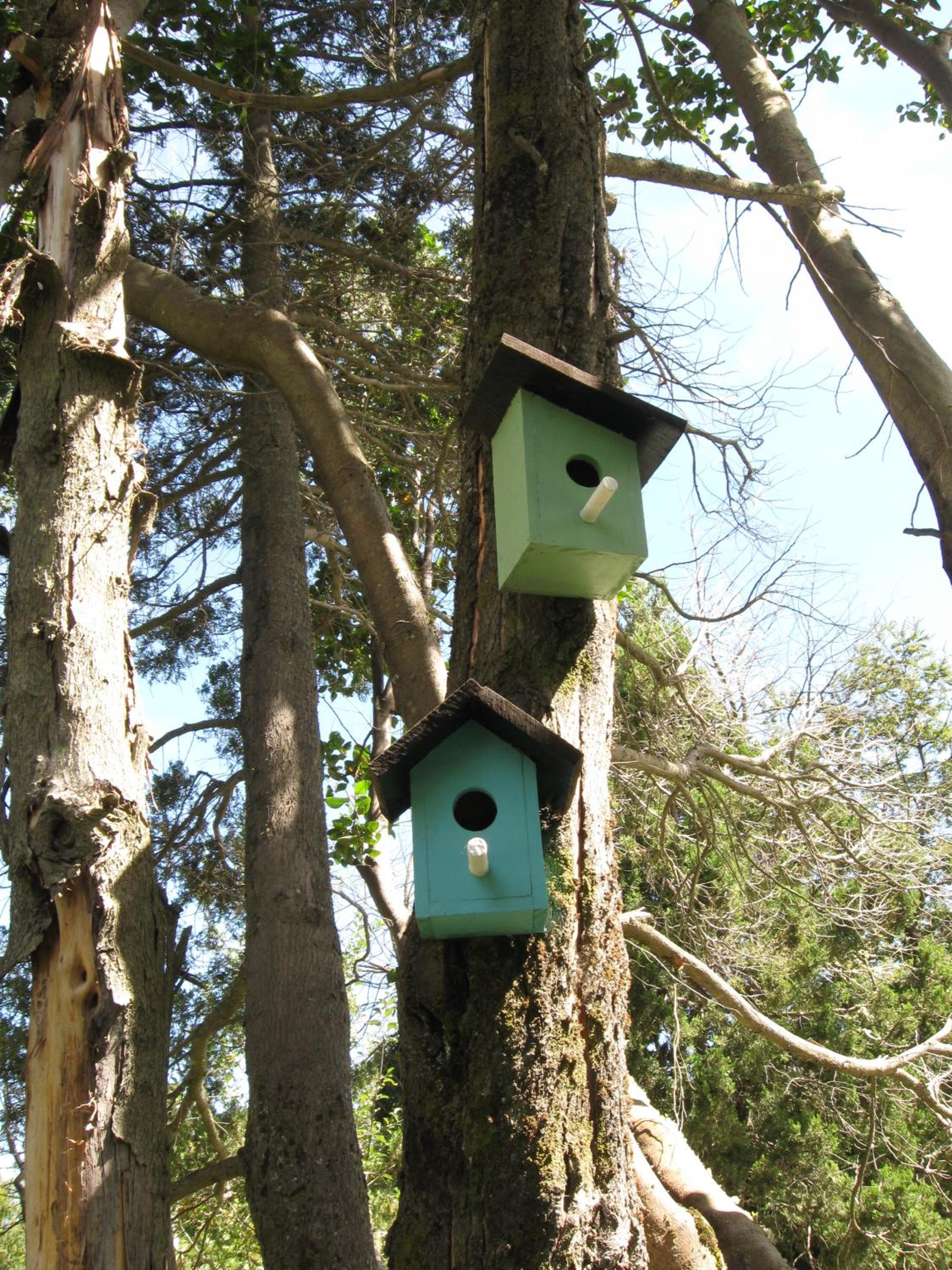 Dodo House Bed & Breakfast