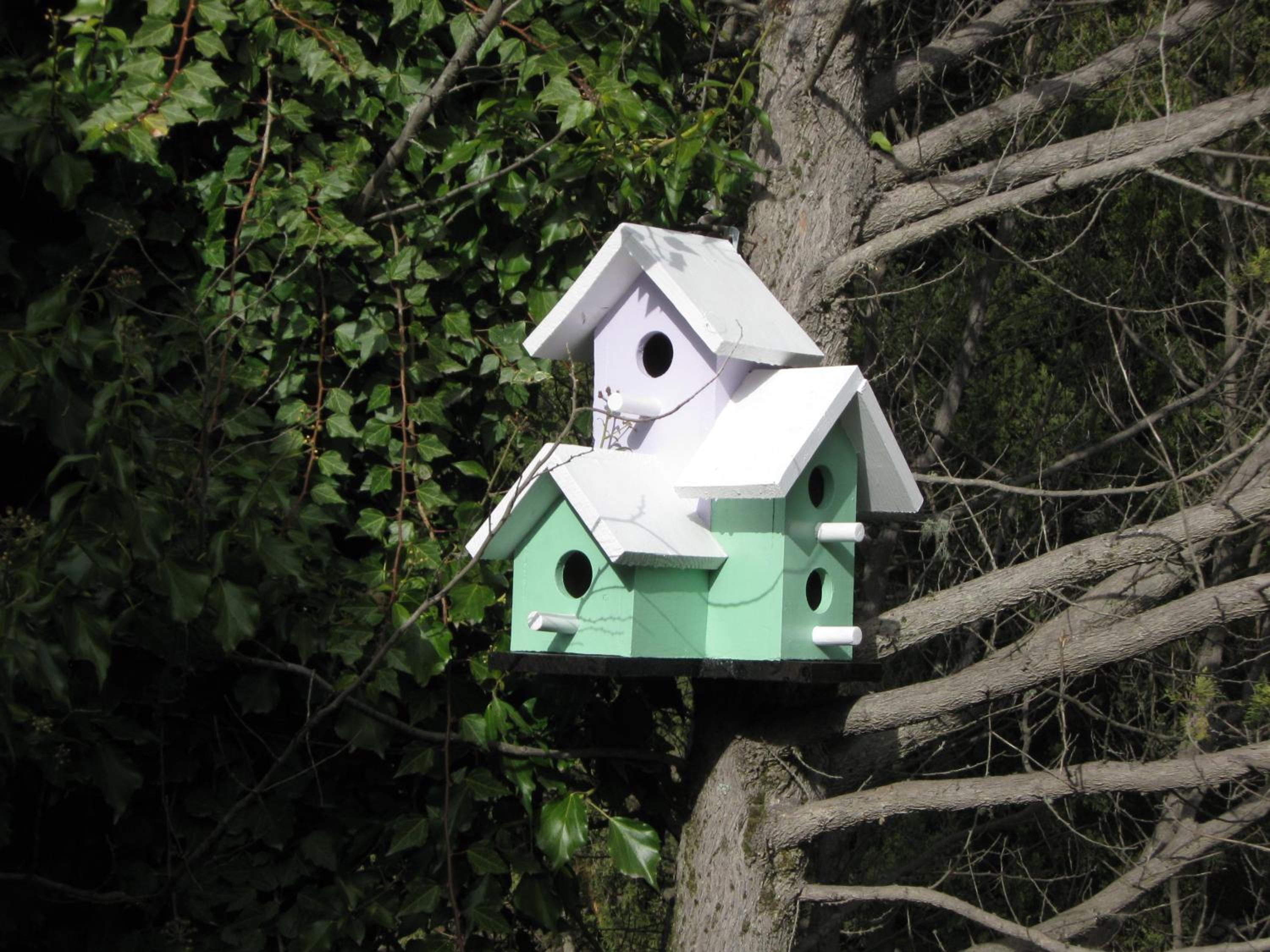 Dodo House Bed & Breakfast