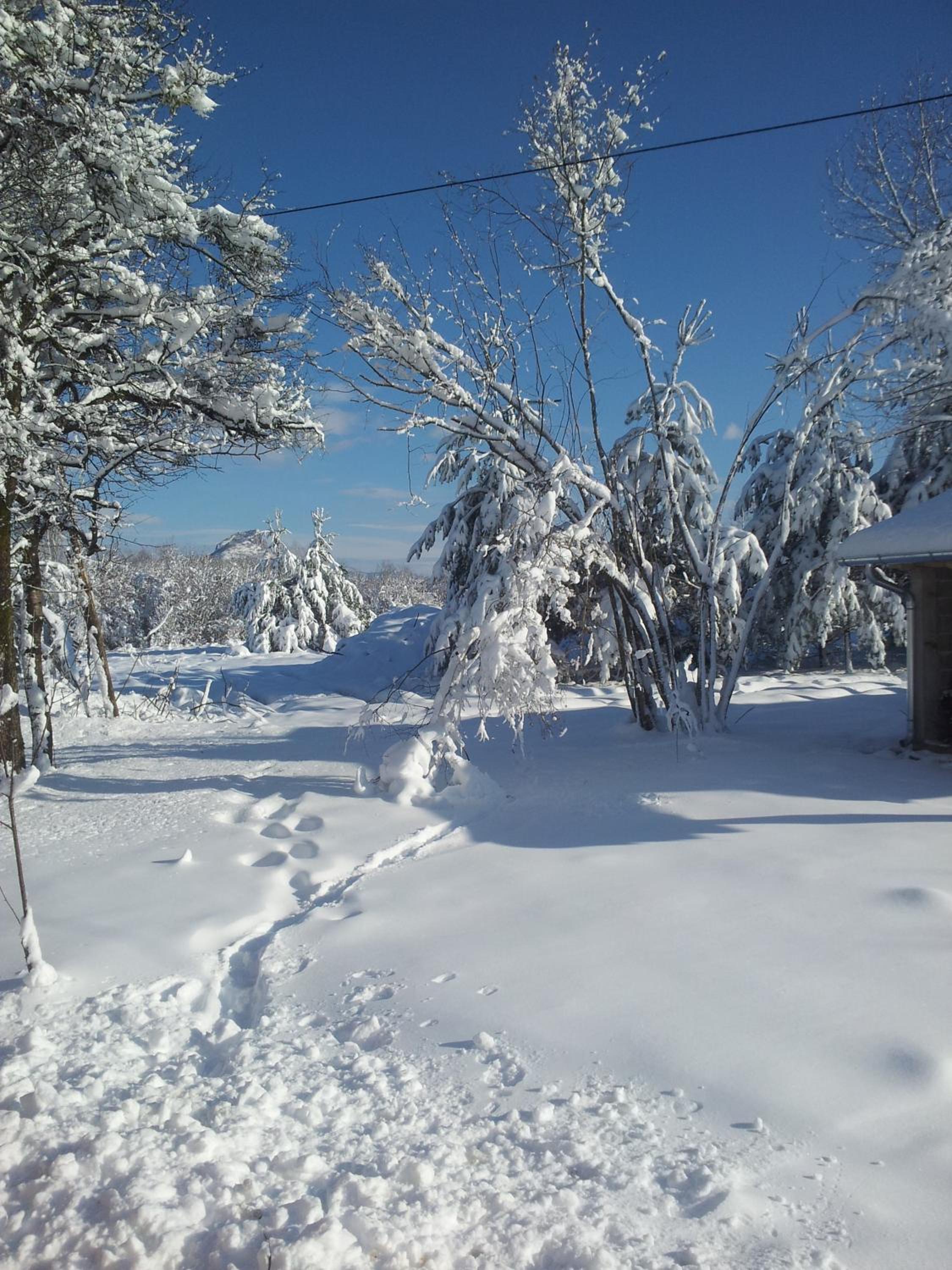 Villa Suzana's Nature Hideout view 4