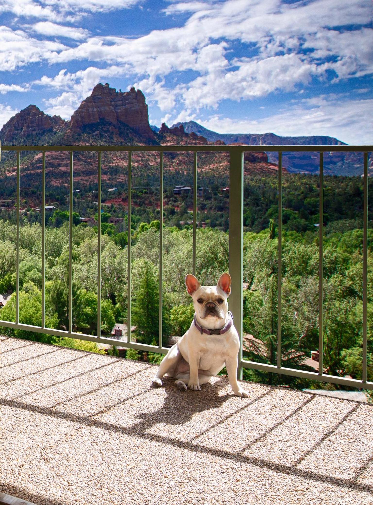 Sedona Vacations - Orchards Inn - Property Image 43