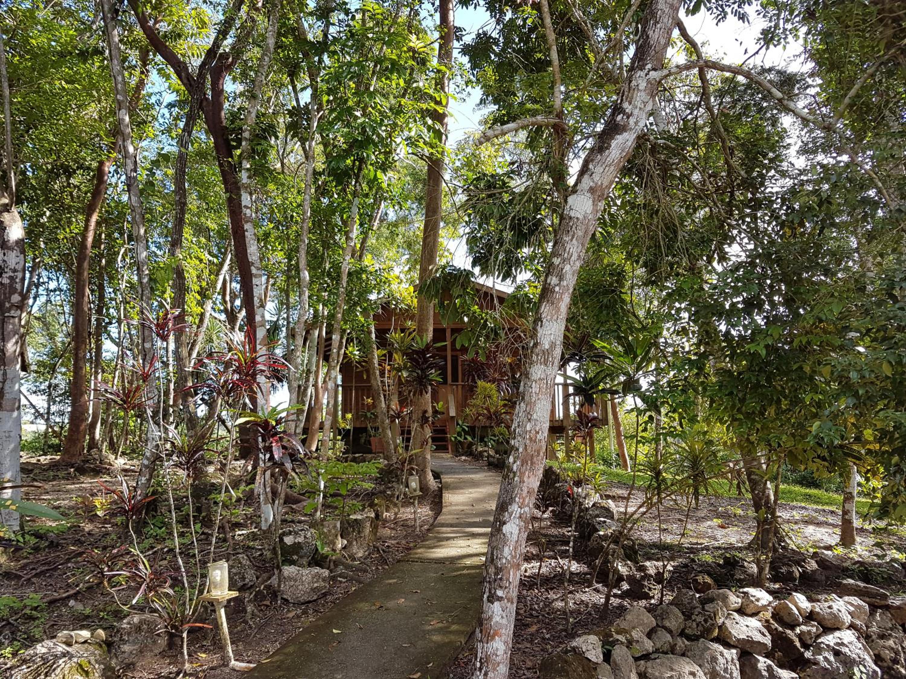 Hidden Haven