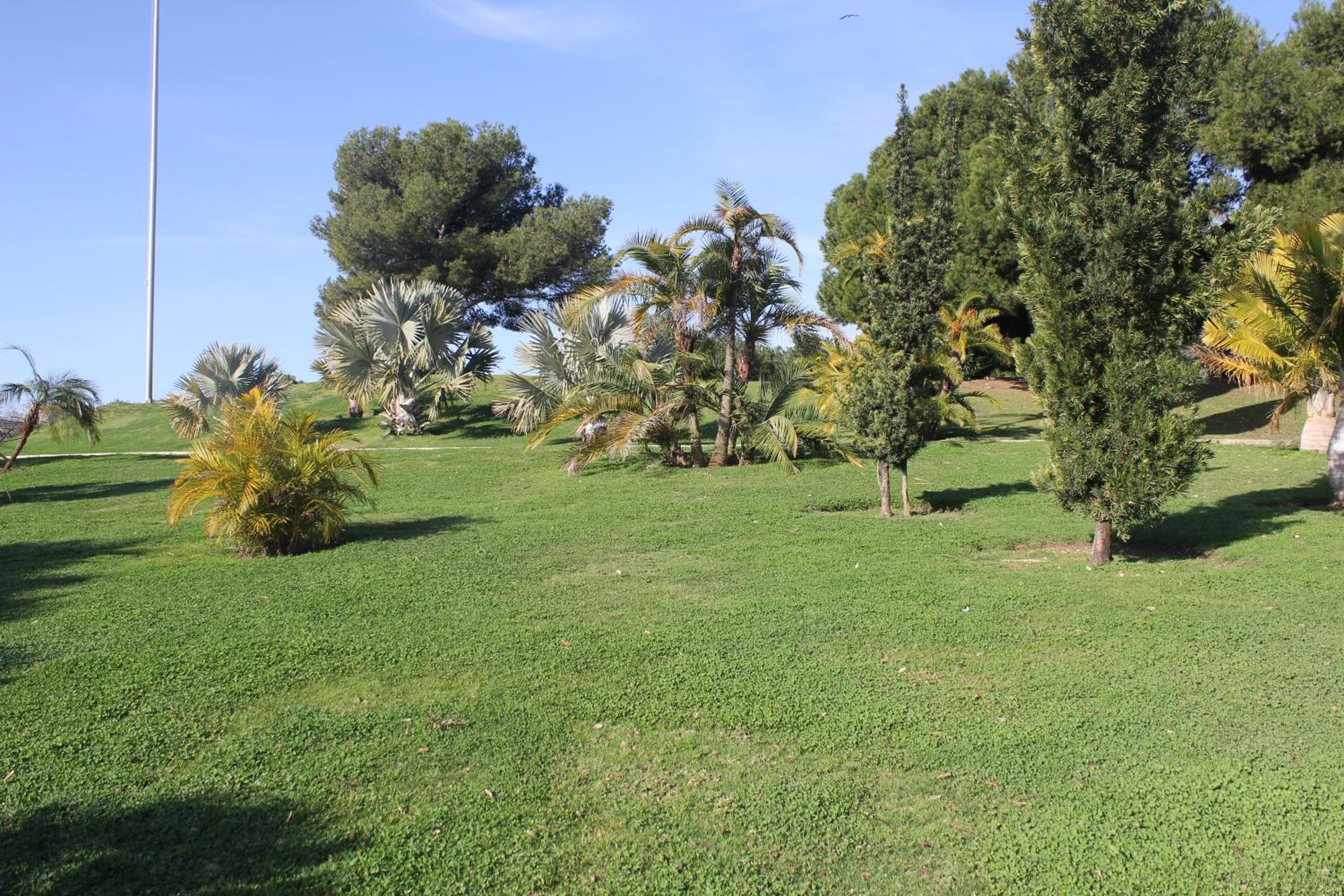 Photo 33
