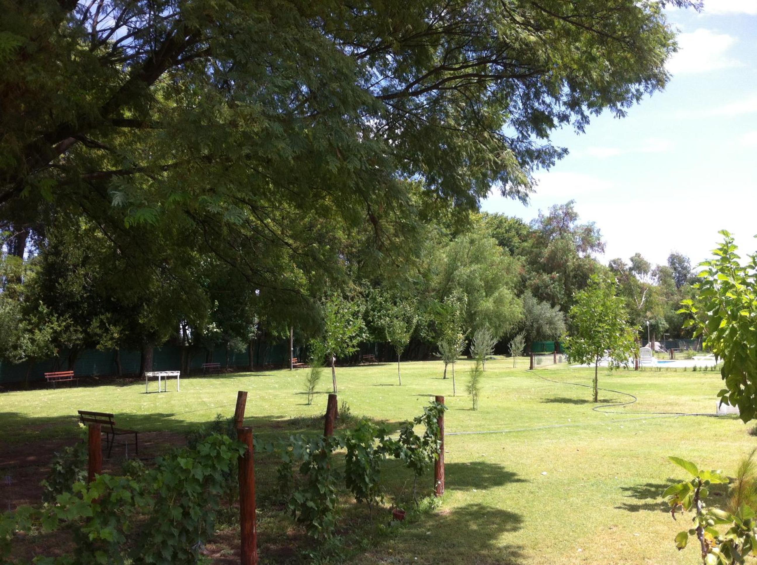 Ayres de Cuyo