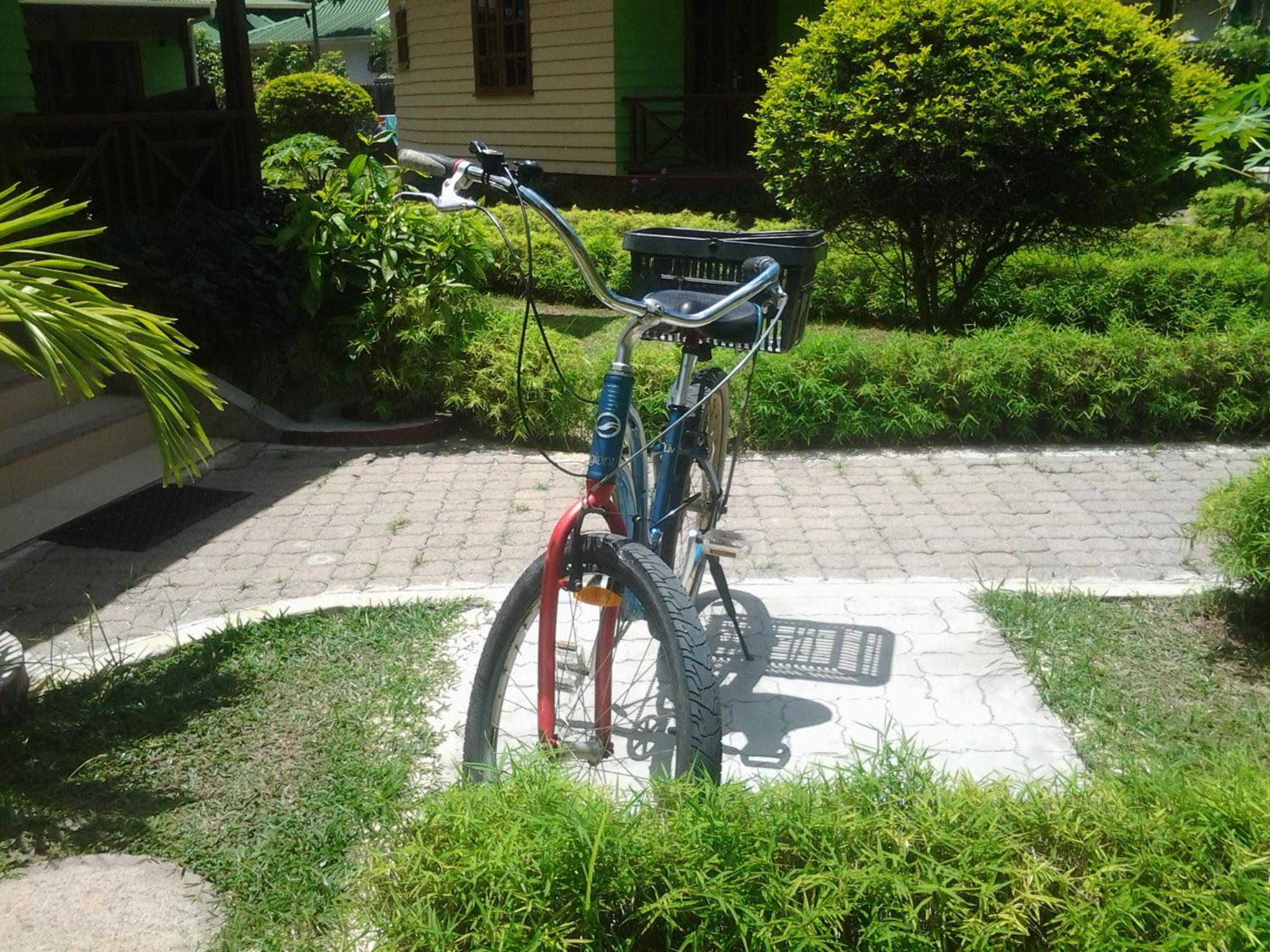 Photo 45