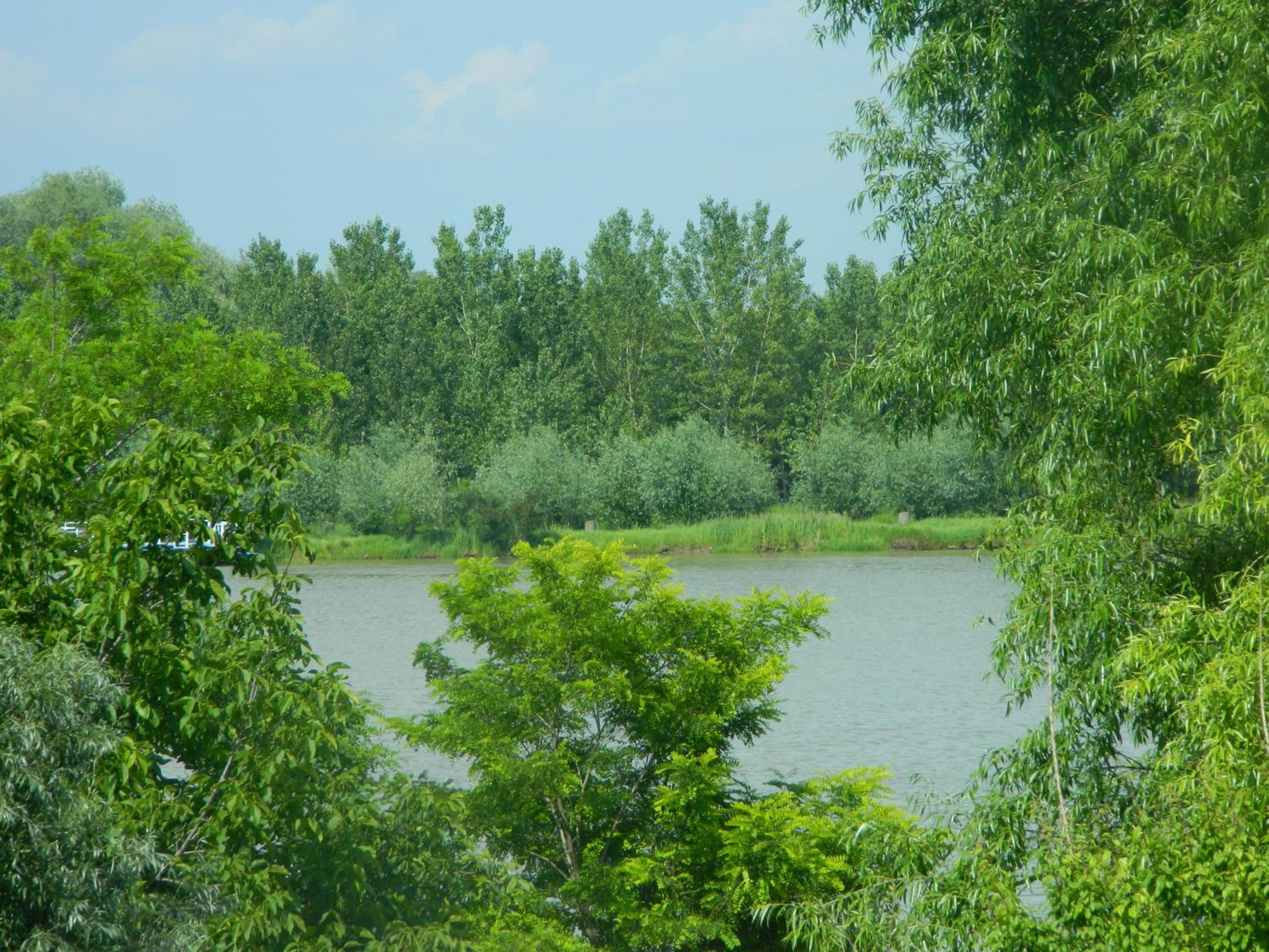 Photo 32