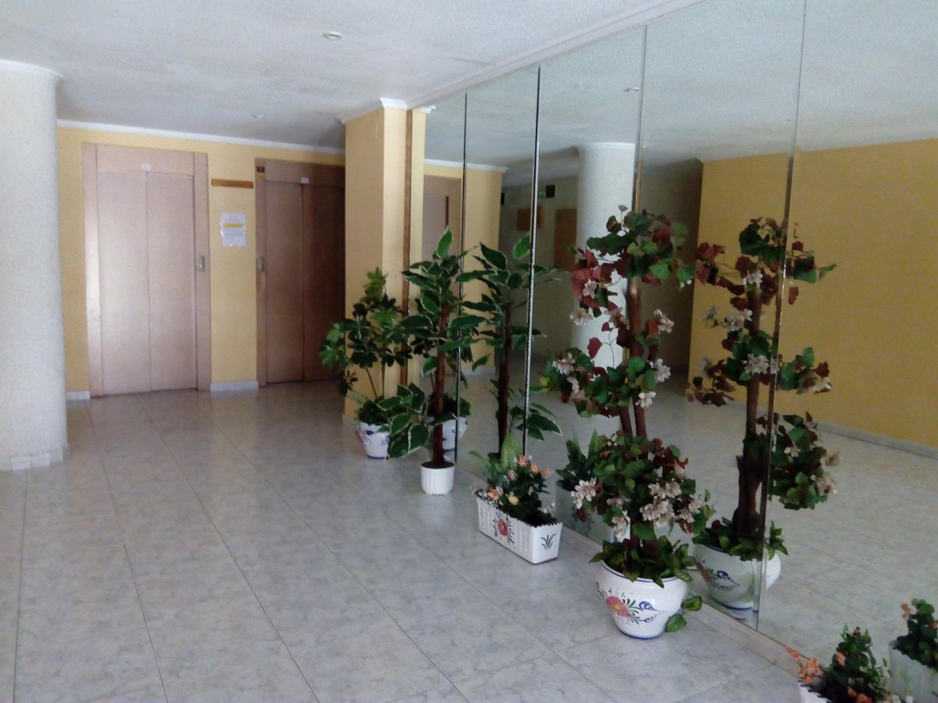 Apartment only 250m from the beach Los Locos view 3