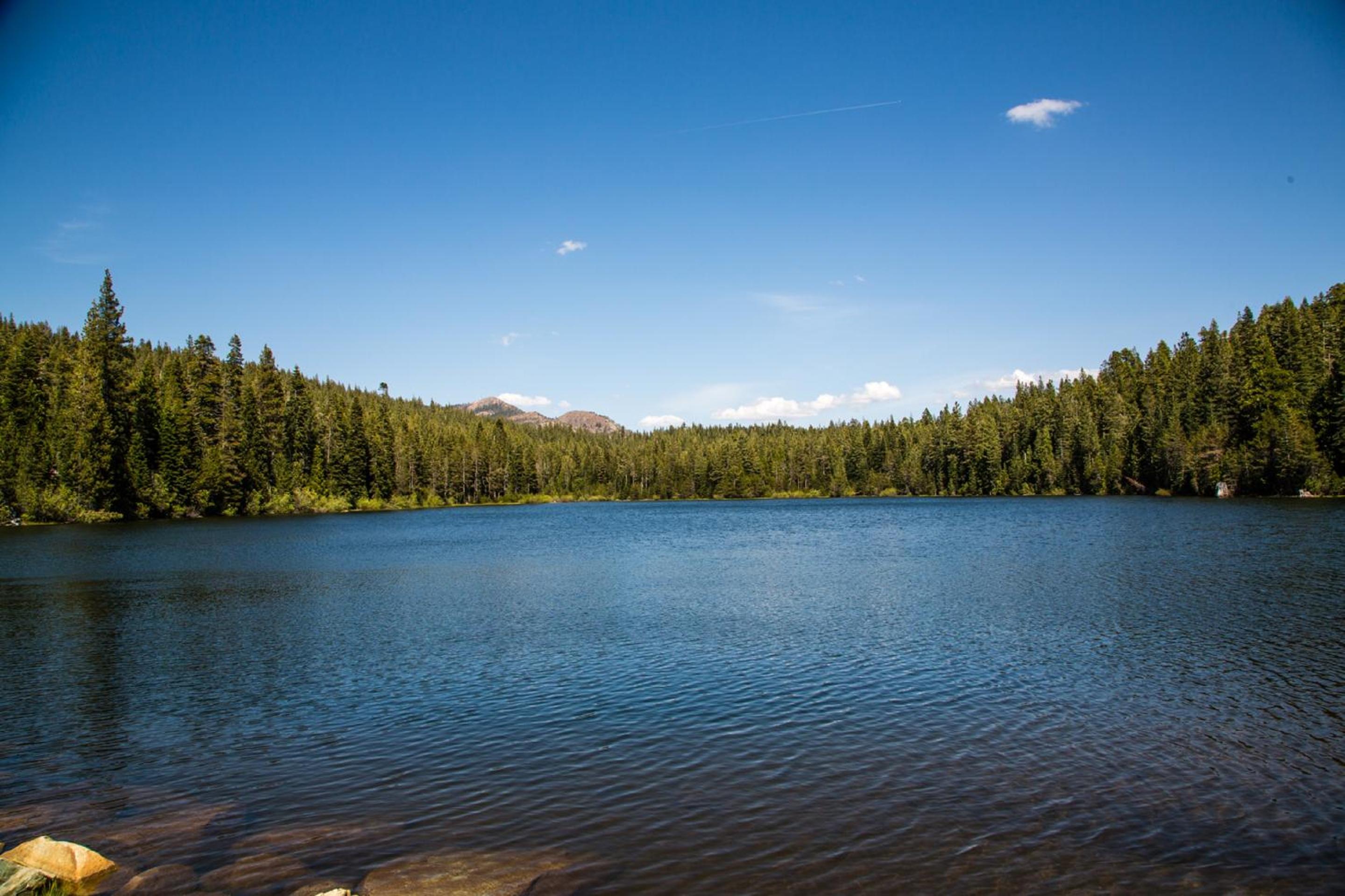 Miscellaneous Market Vacations - Snowflower Camping Resort 12 ft. Yurt 9 - Property Image 3