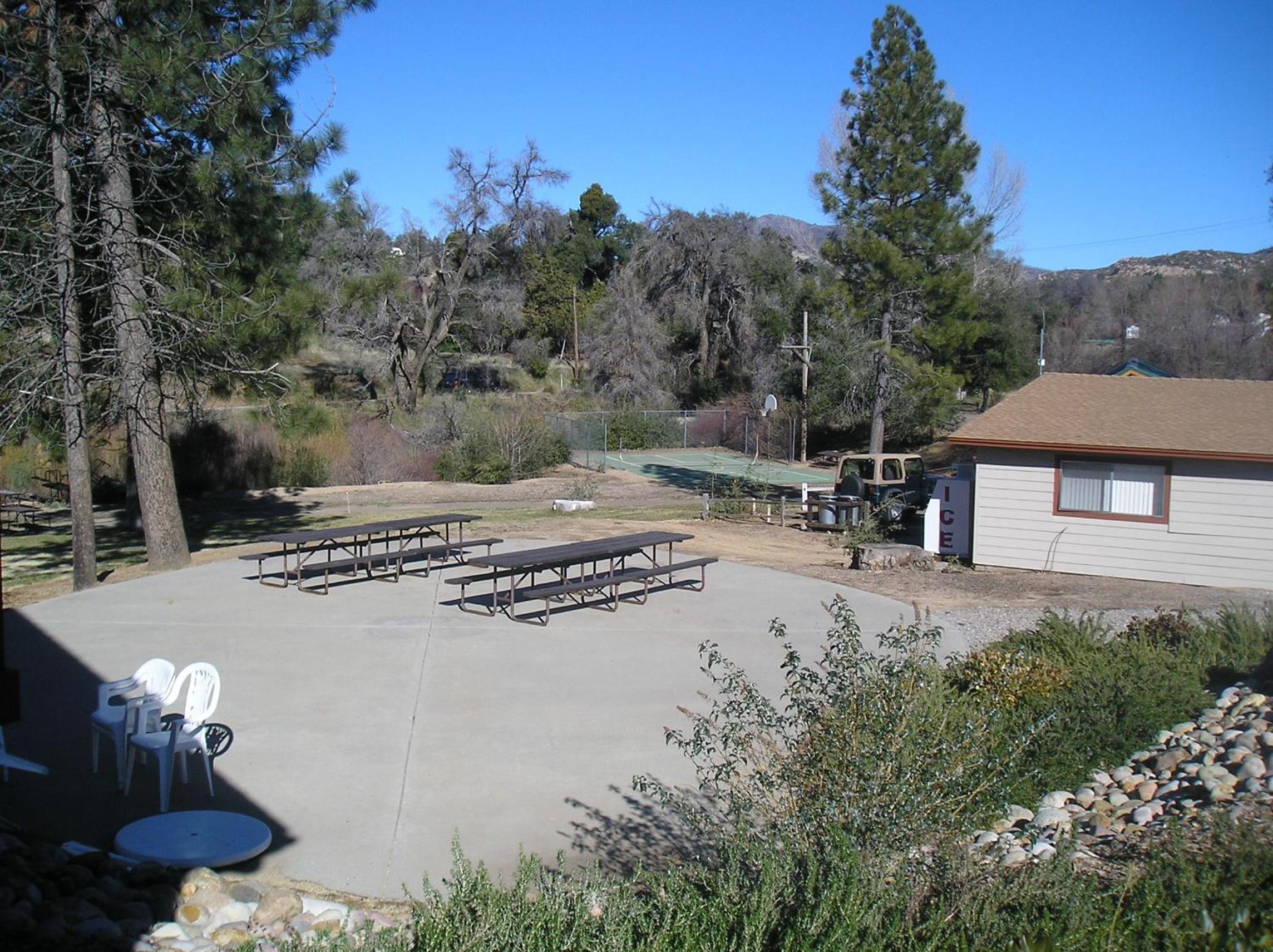 Photo 9
