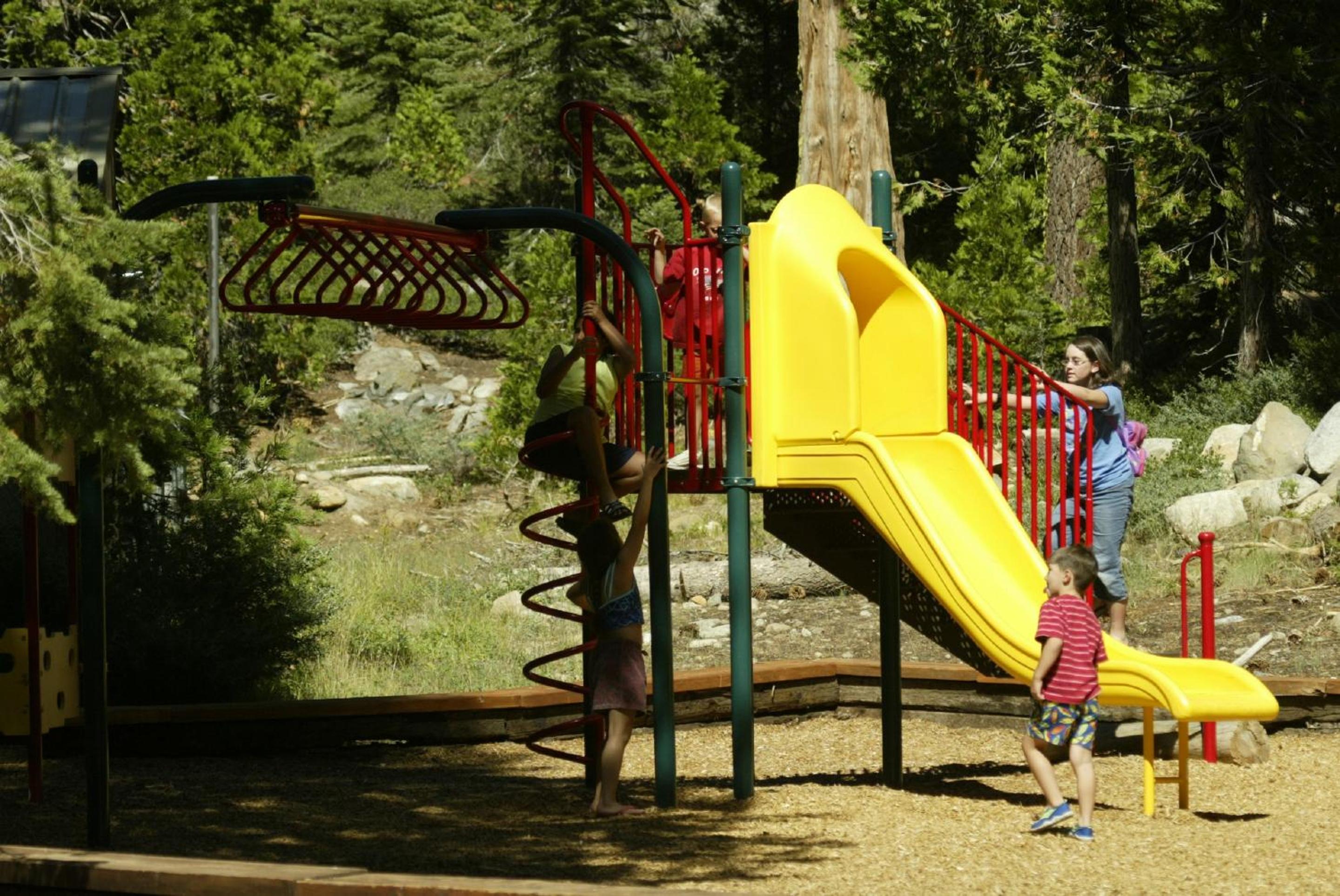 Photo 11