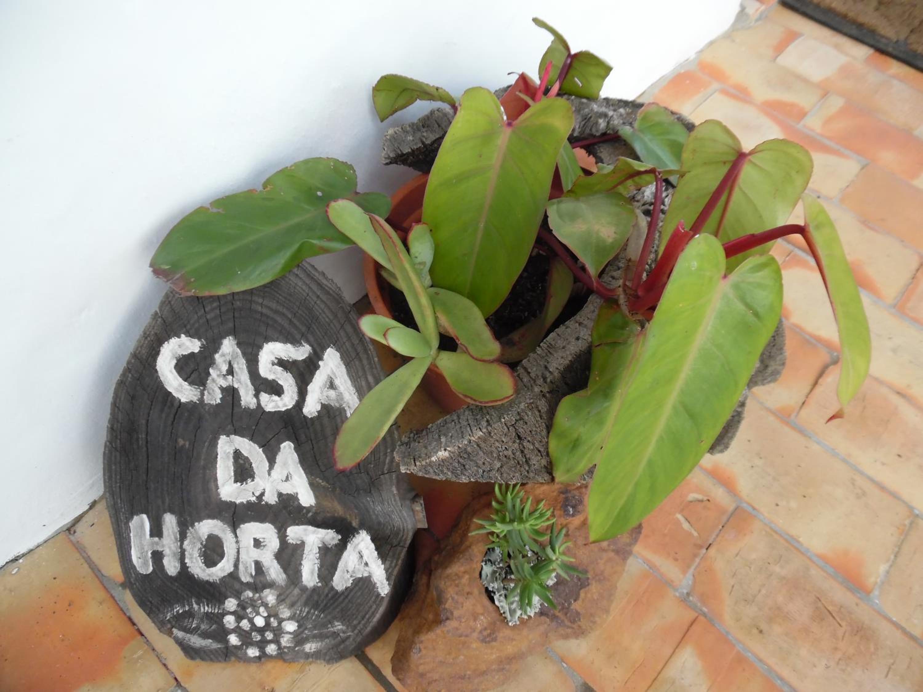 Photo 53