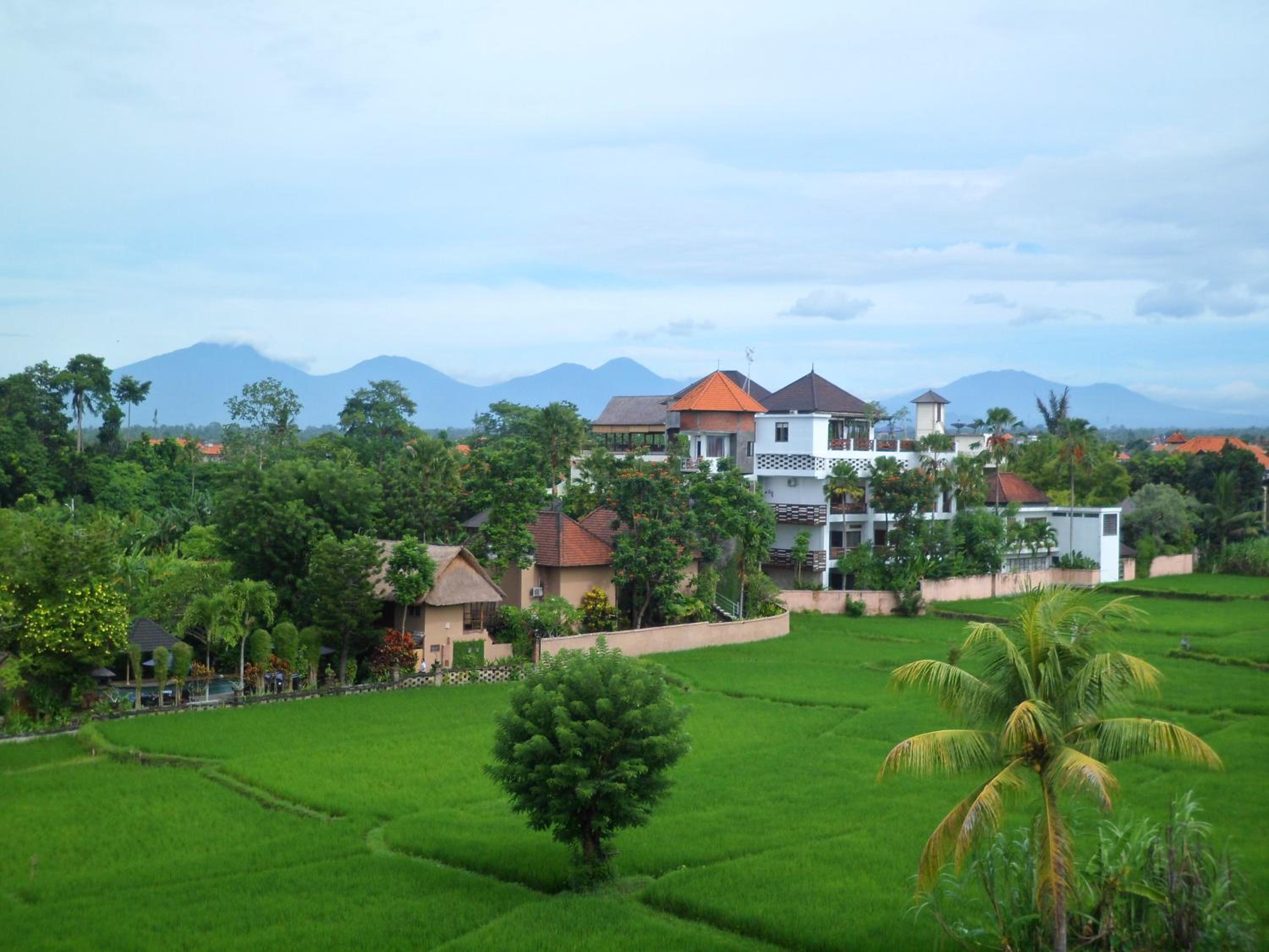 Nuriani Rooms view 4