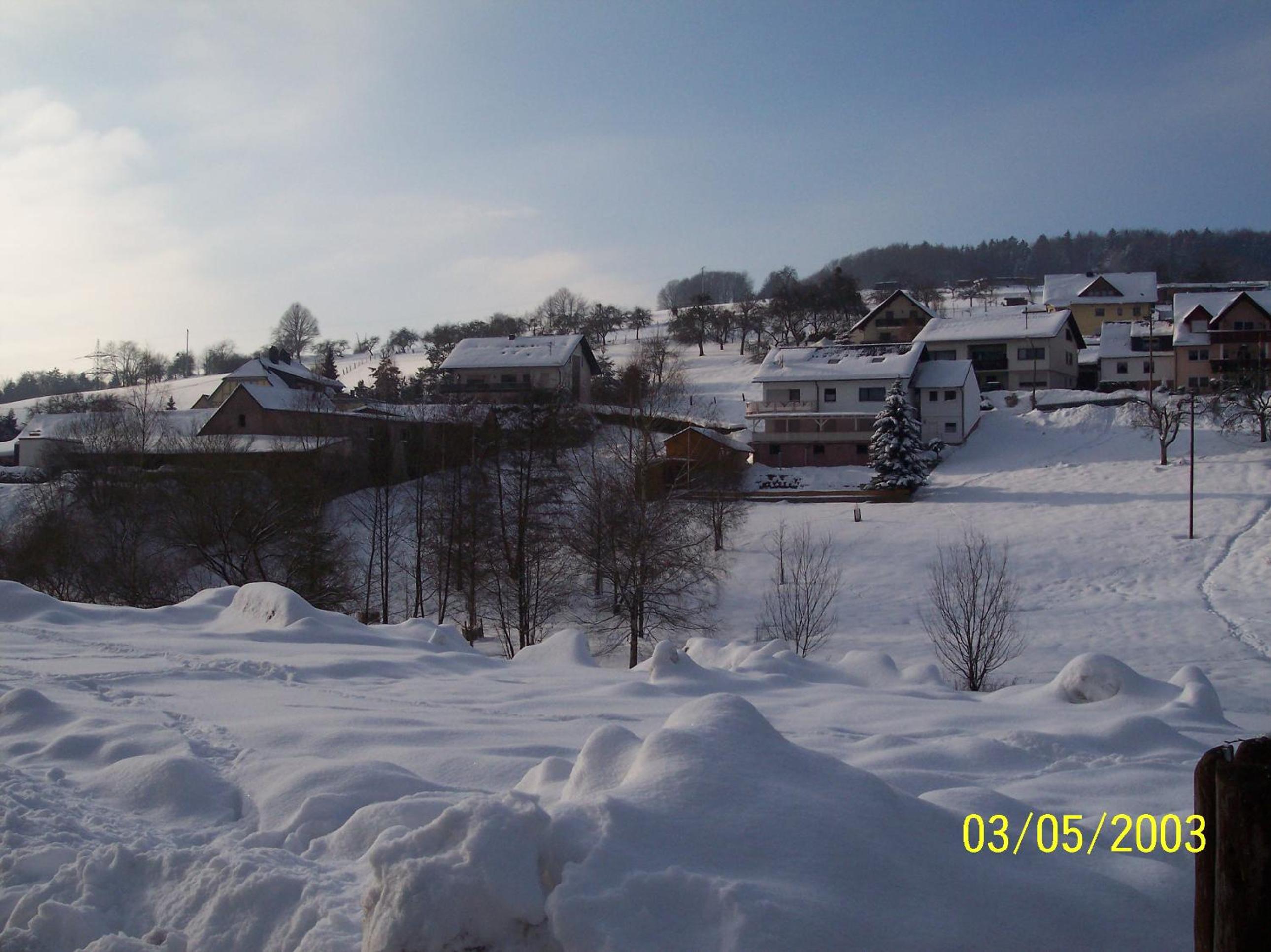 Photo 48