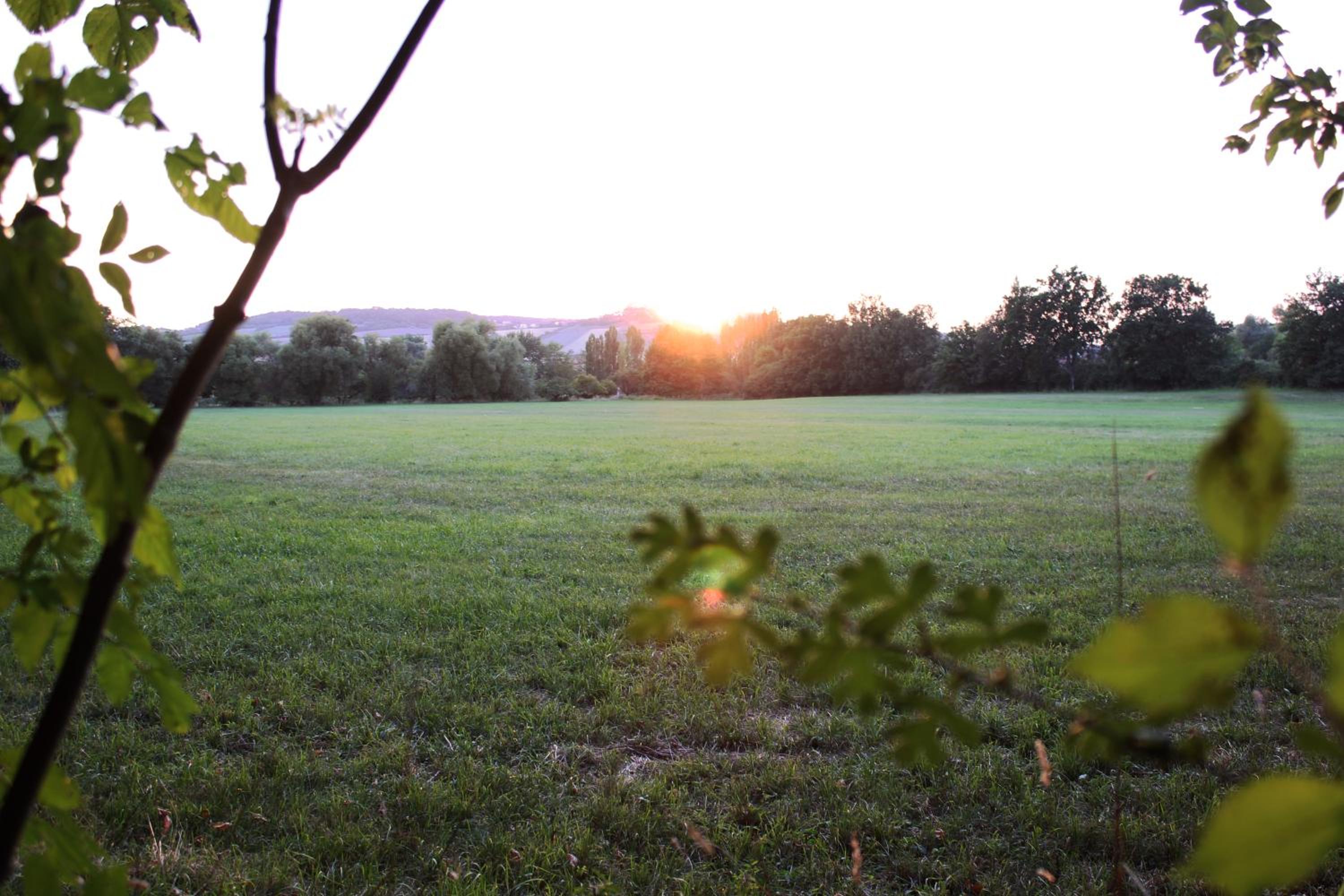 Photo 36