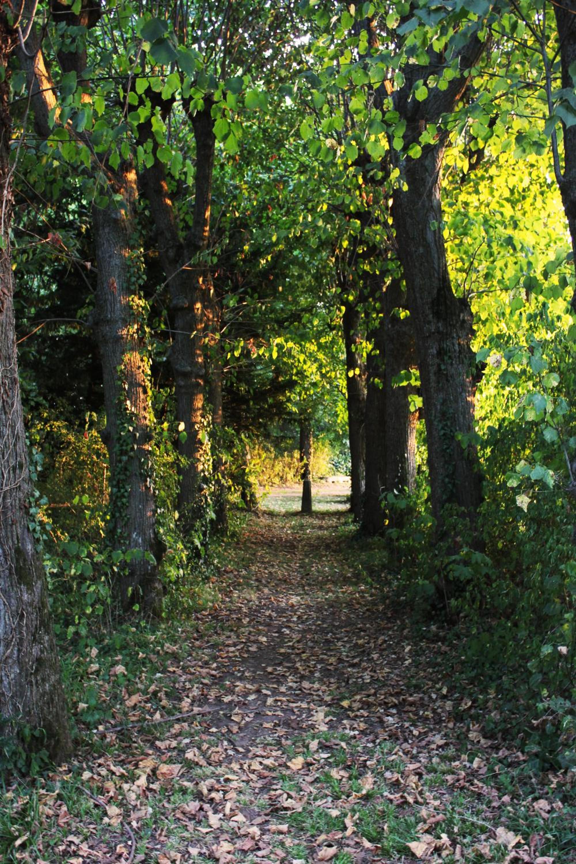 Photo 22