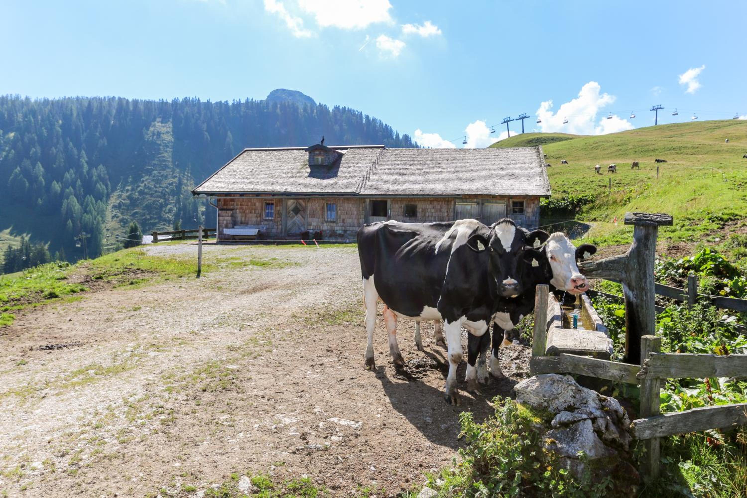 Müllerkaser view 3
