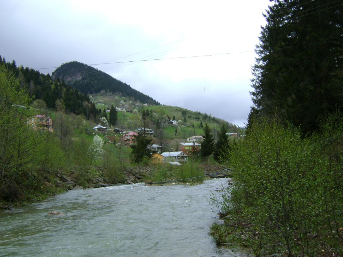 Photo 30