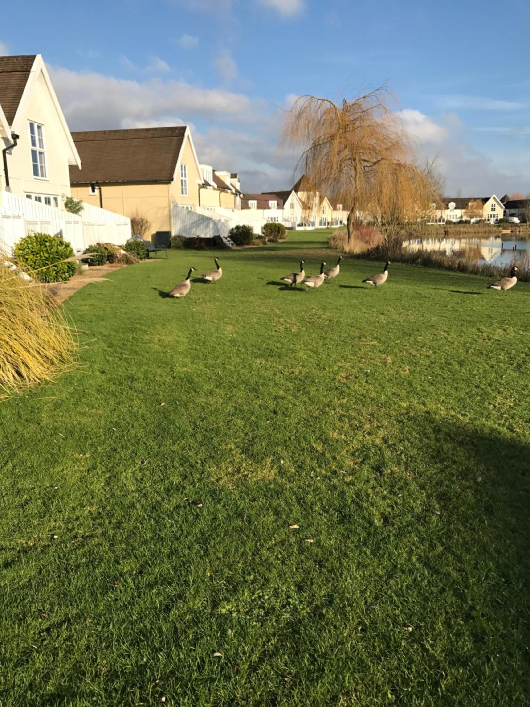 Photo 42