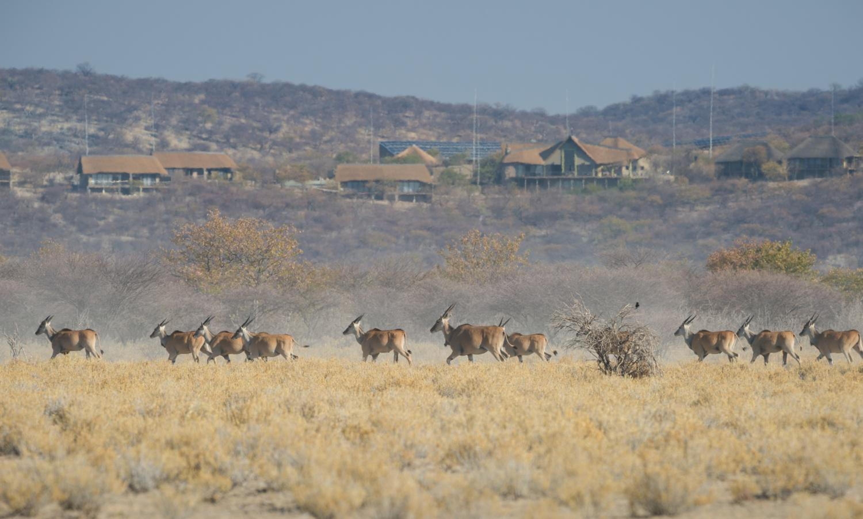 Safarihoek Lodge