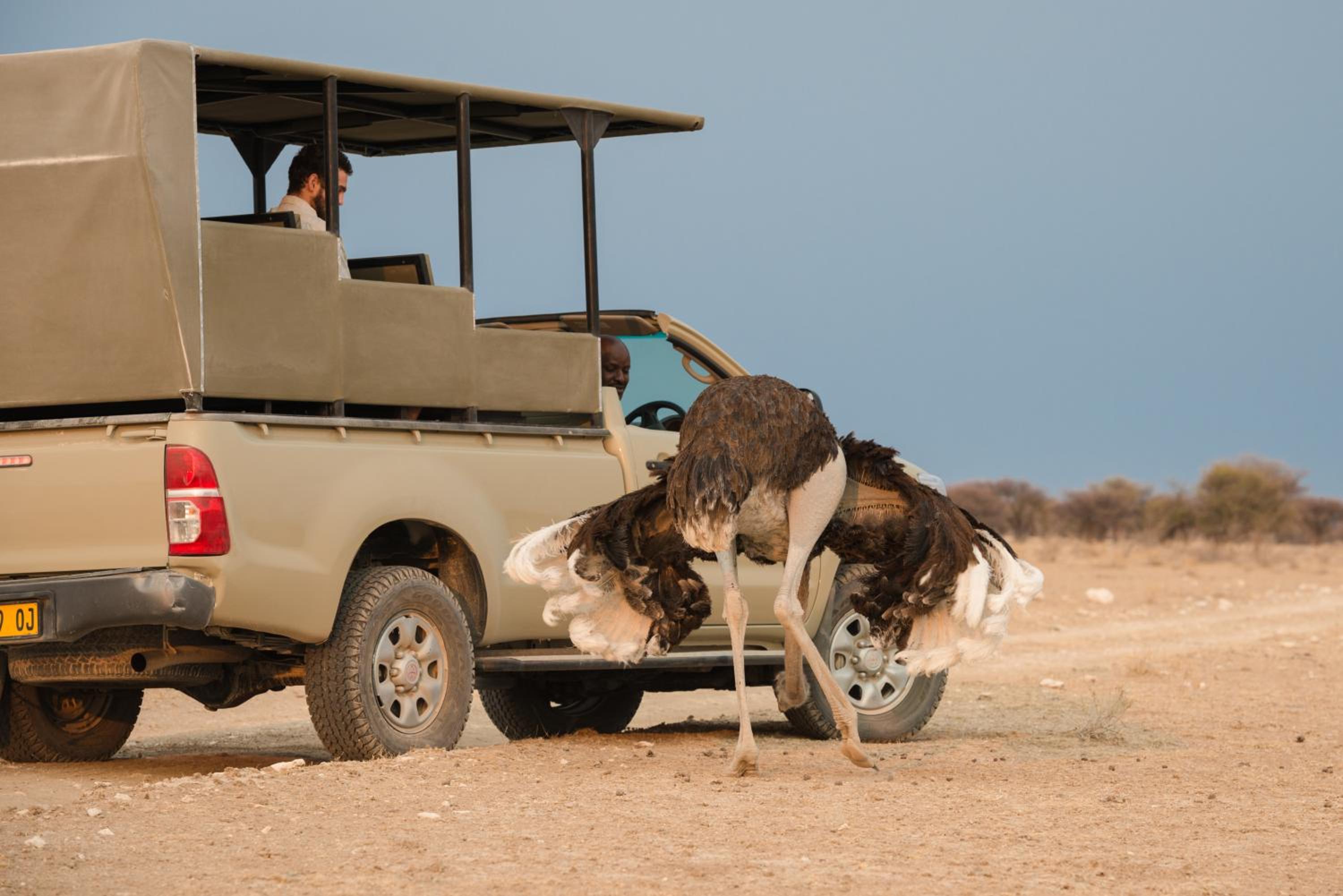 Safarihoek Lodge