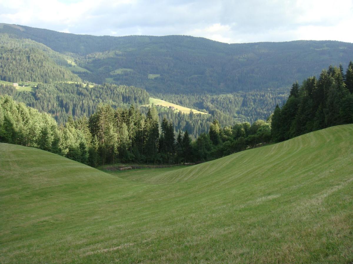 Ferienwohnung Lahnerhof