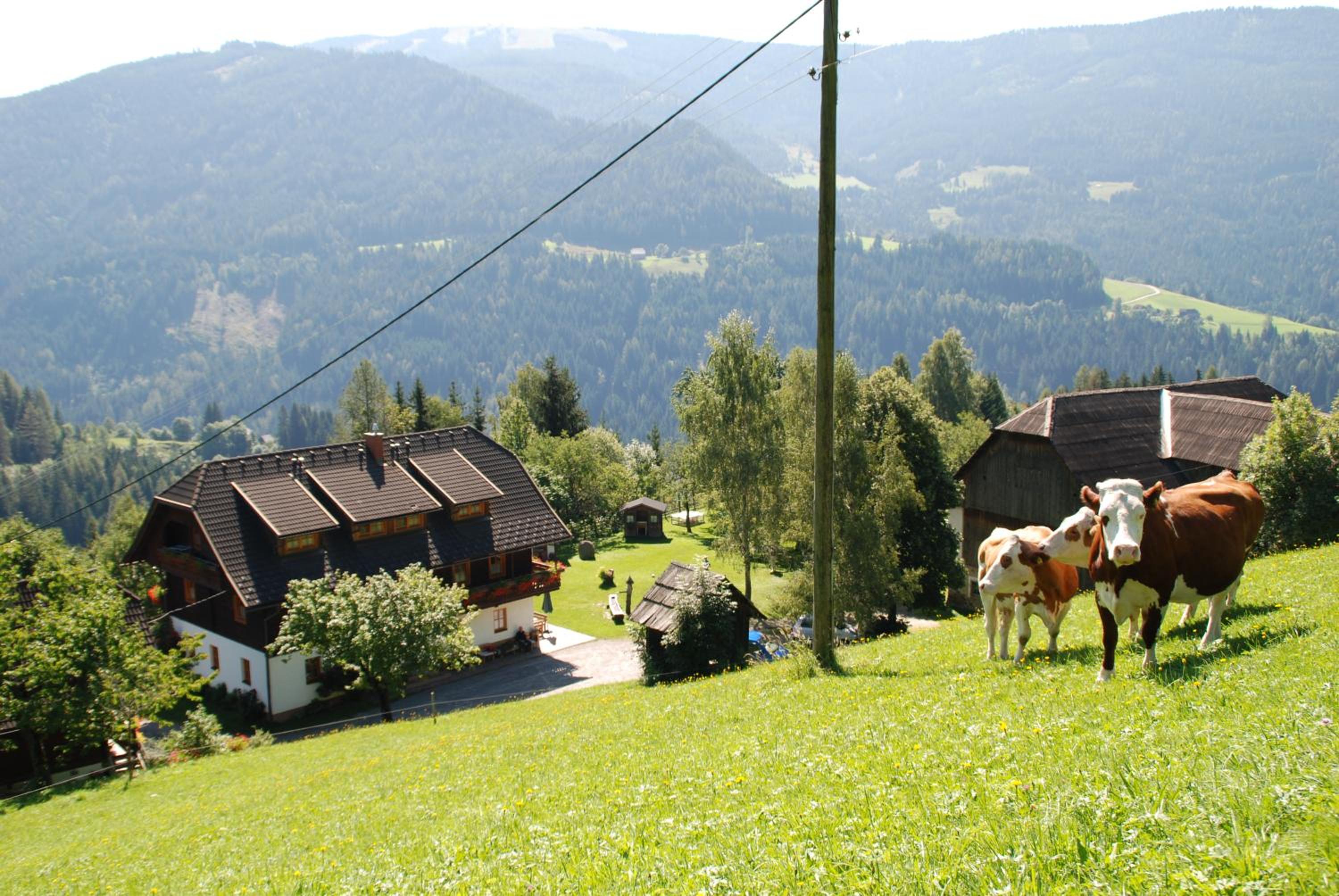 Ferienwohnung Lahnerhof