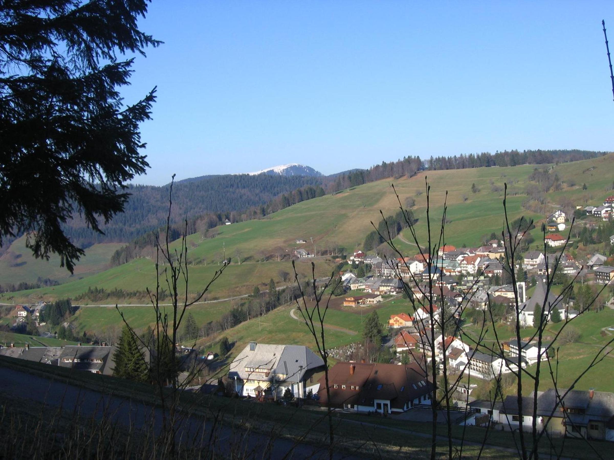 Photo 30