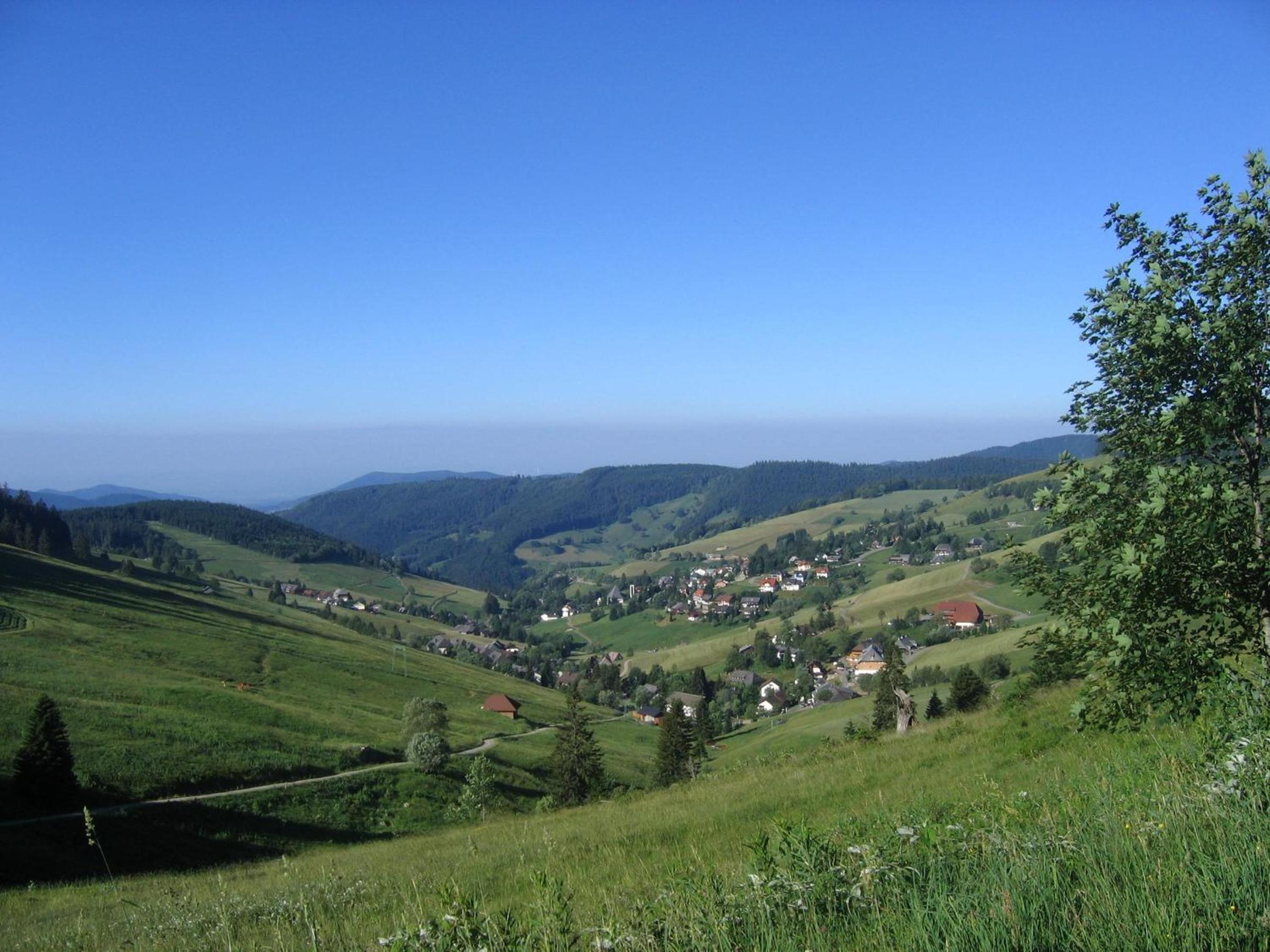 Photo 25