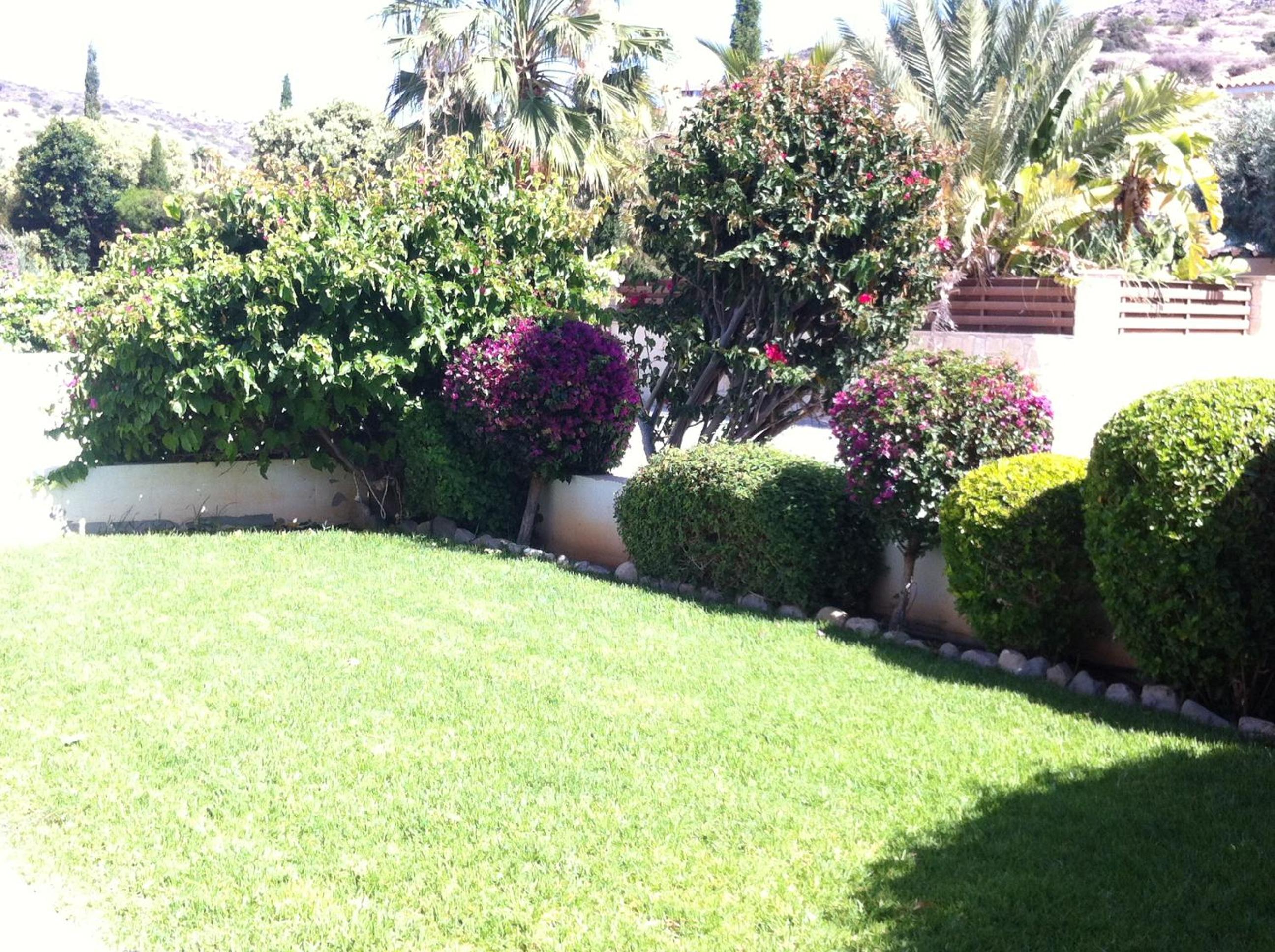 Photo 26