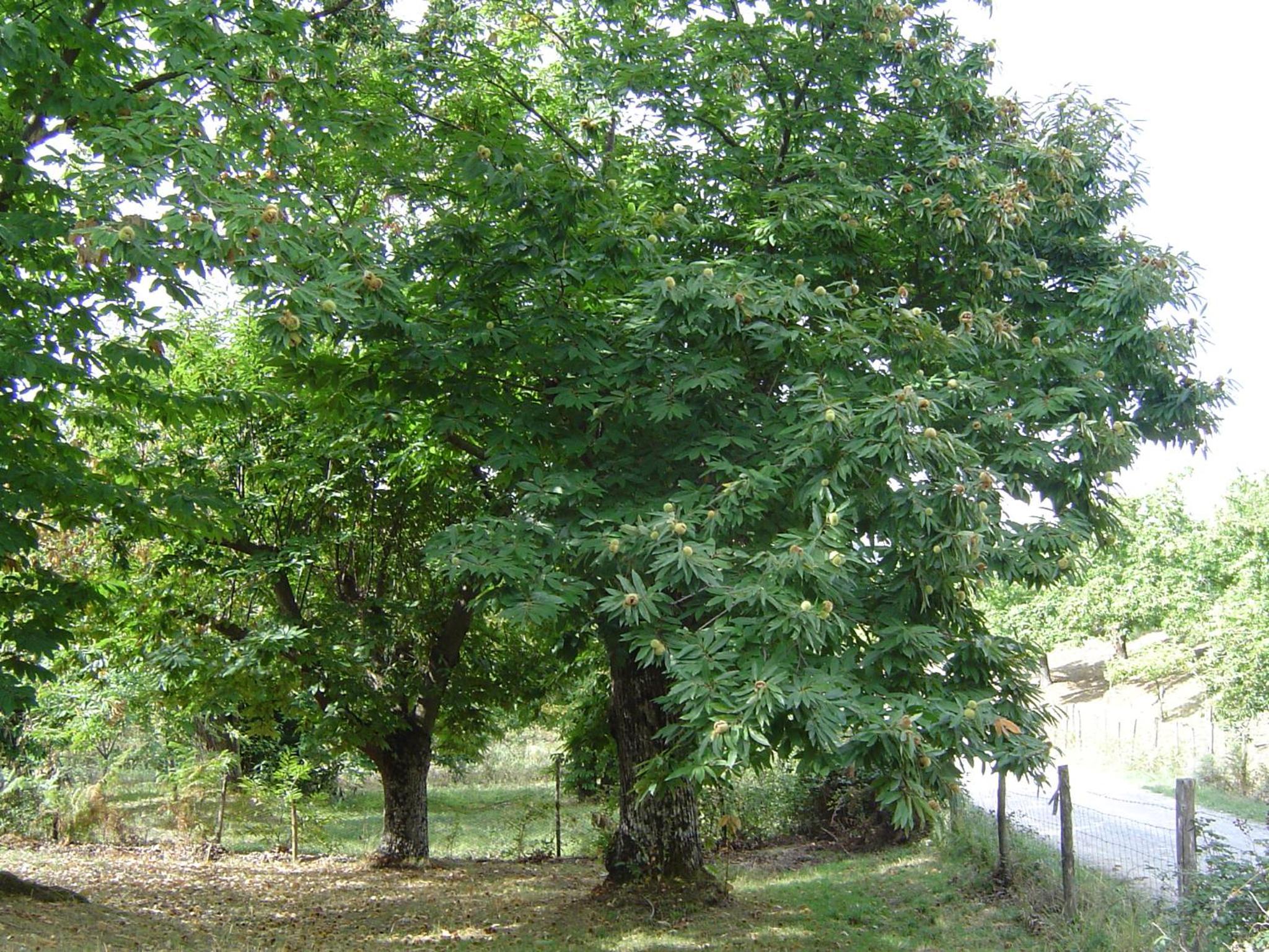 Photo 33