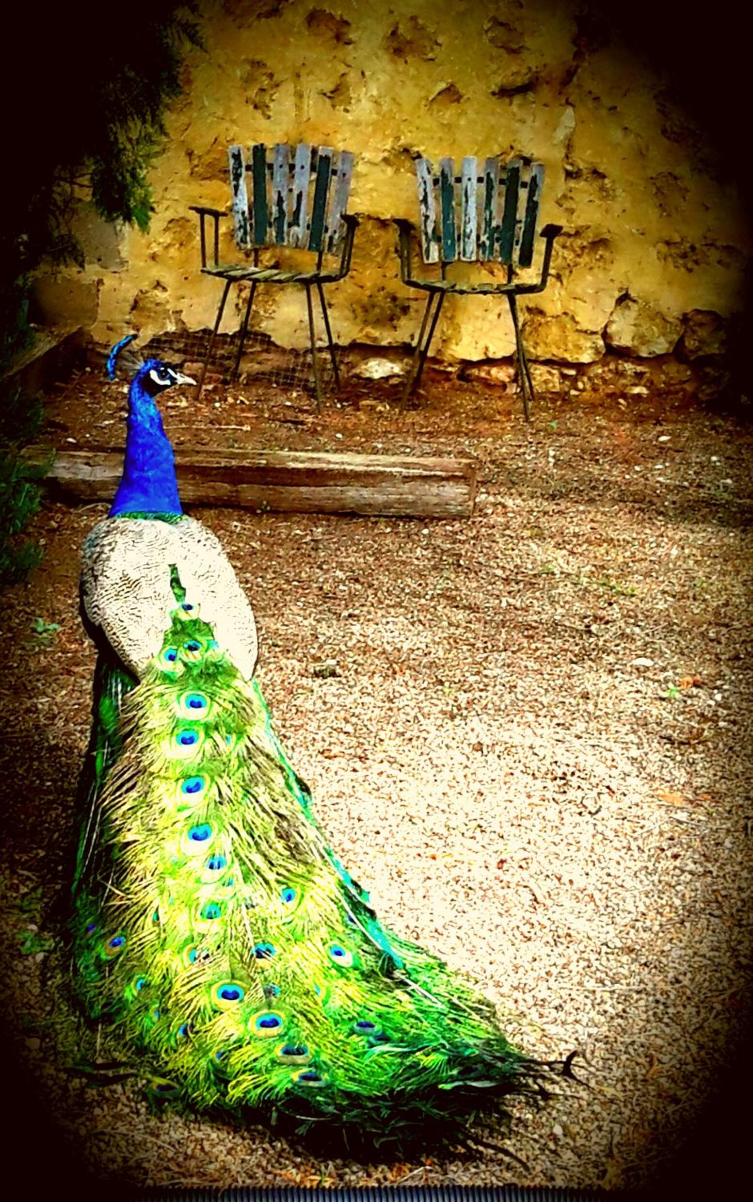 A La Folly The Retreat