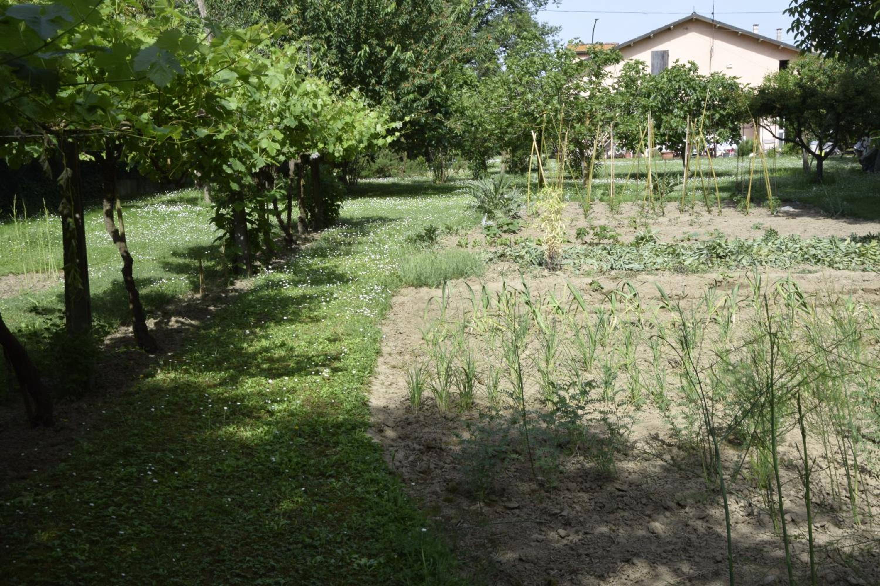 Photo 24