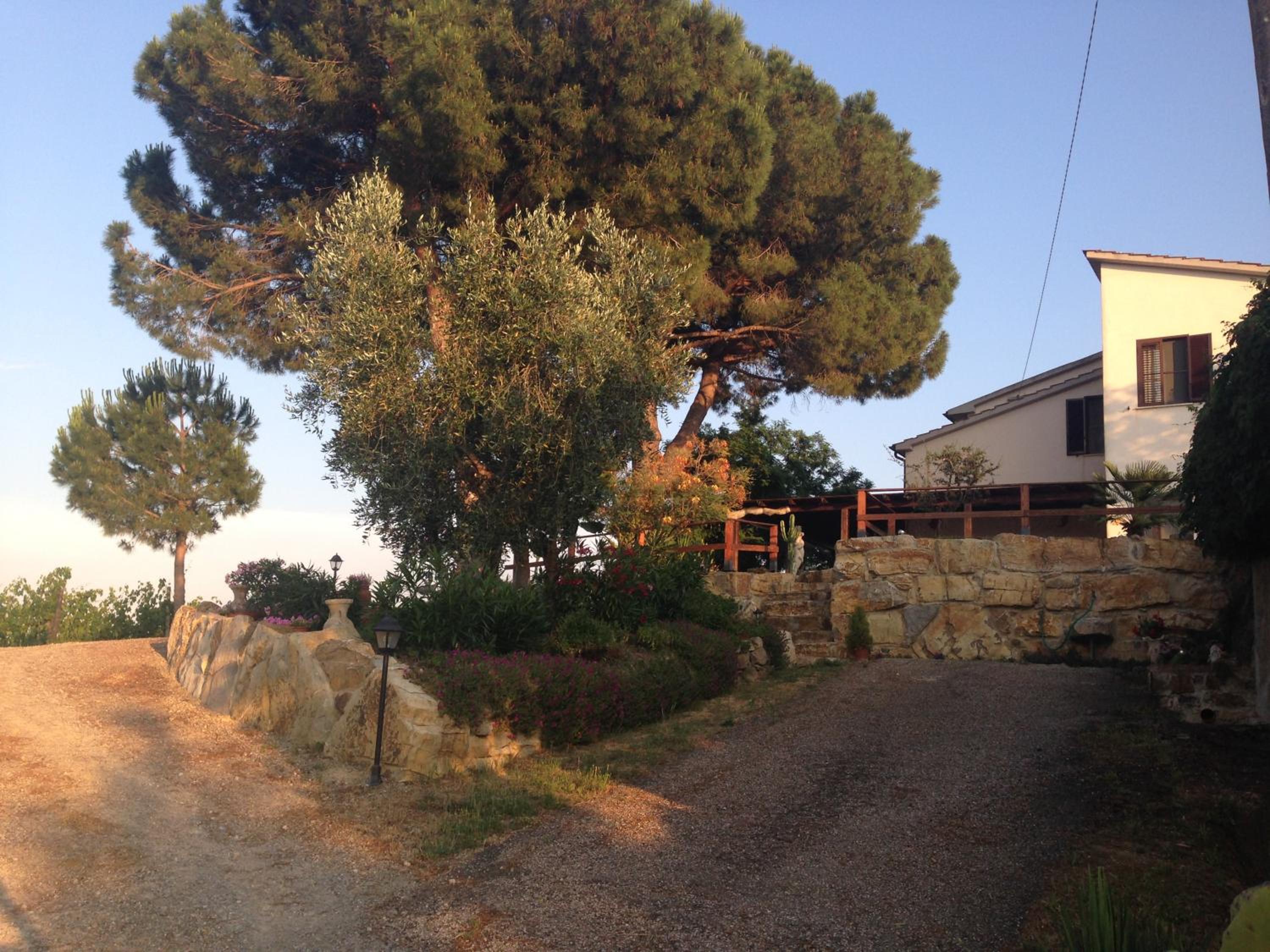 Photo 28