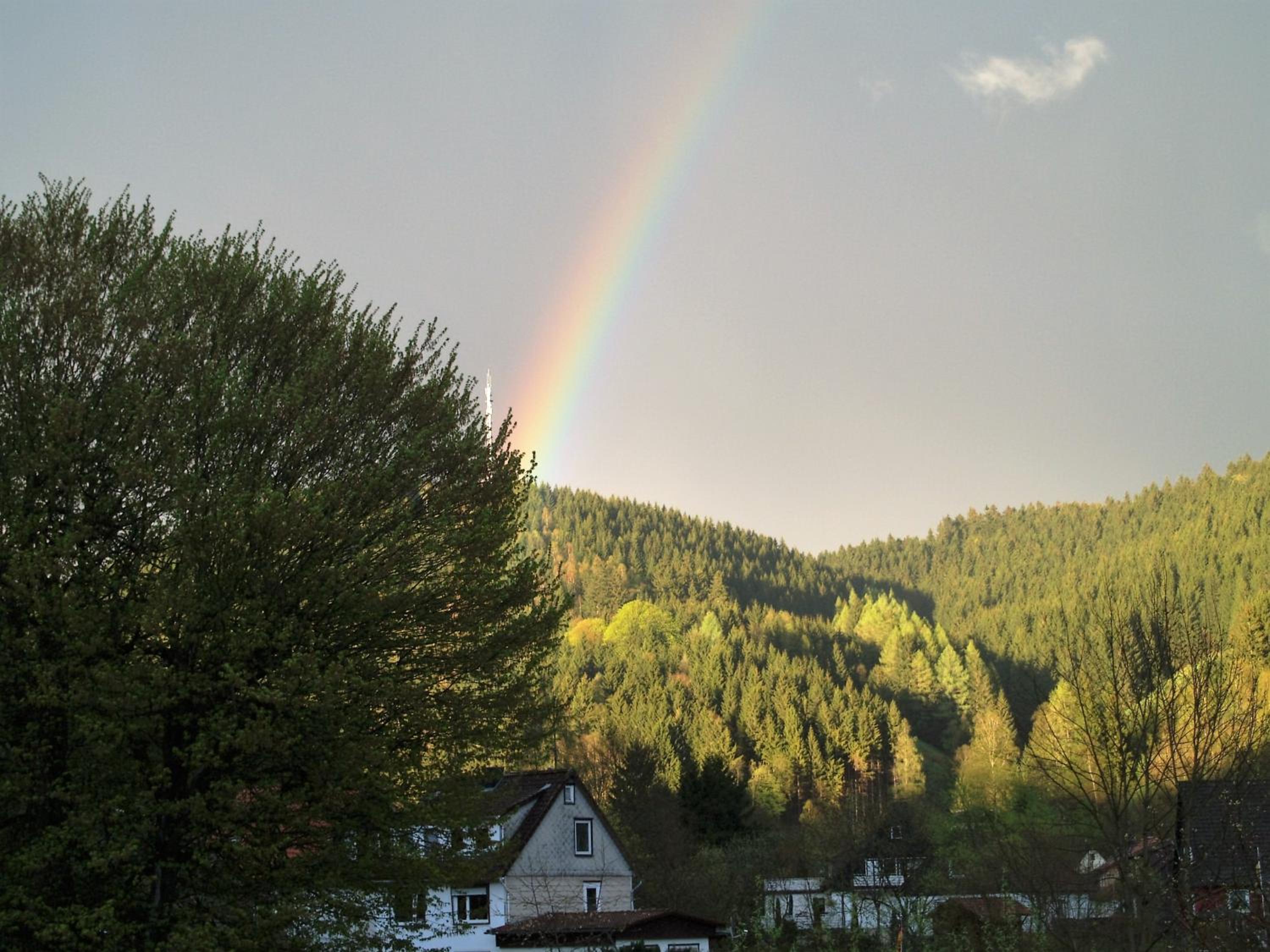 Ferienwohnung An der Innerste view 5