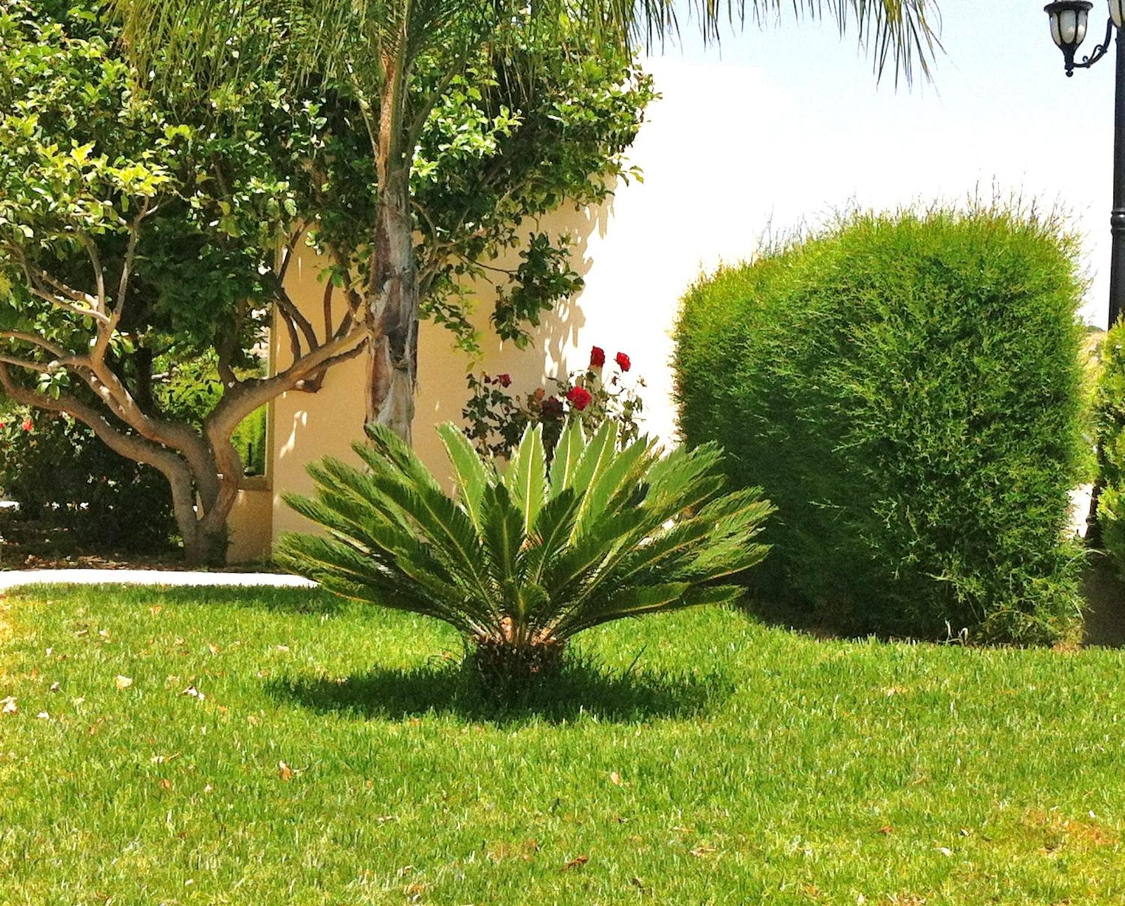 Himonas Apartments