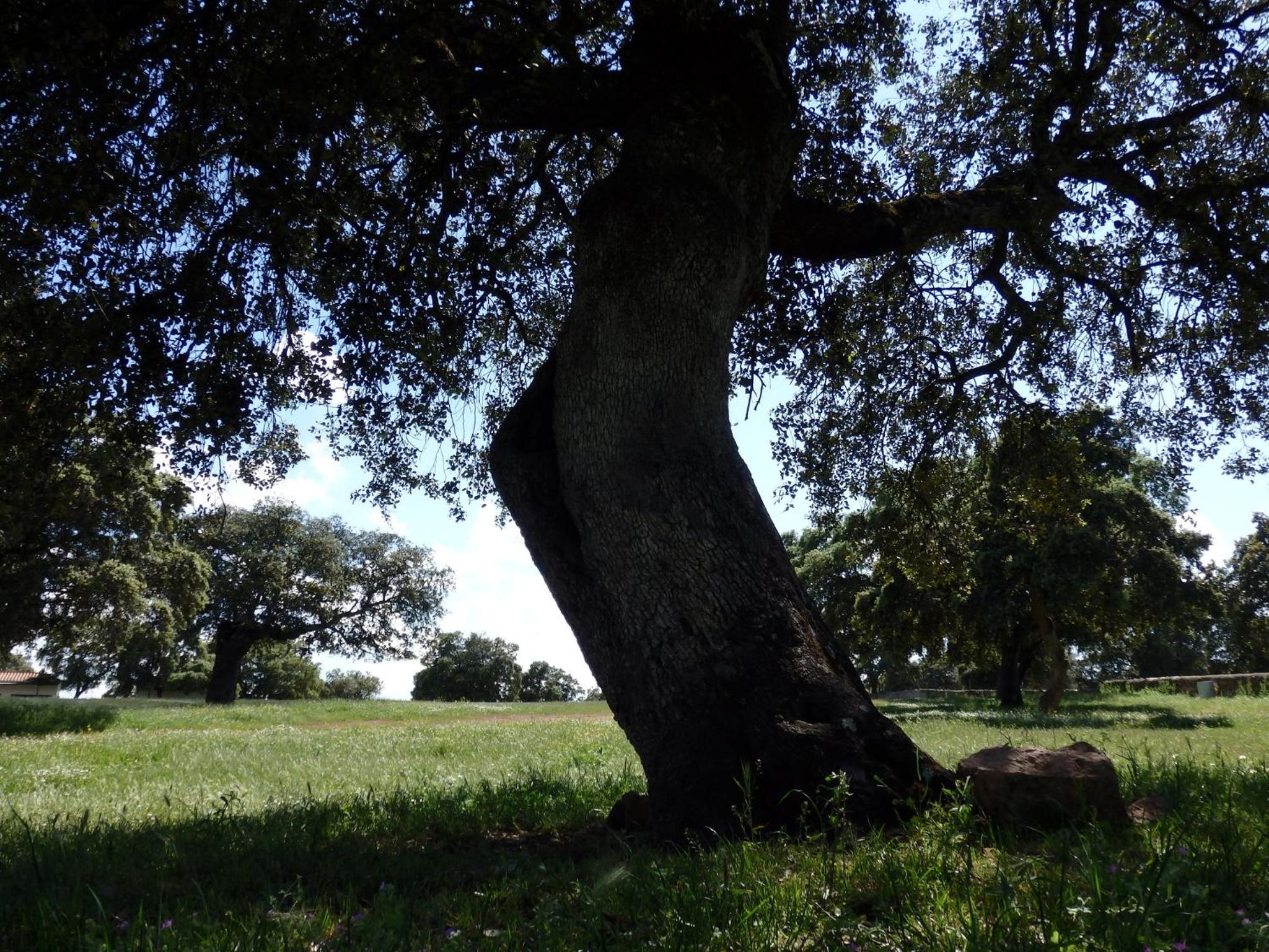 Photo 46