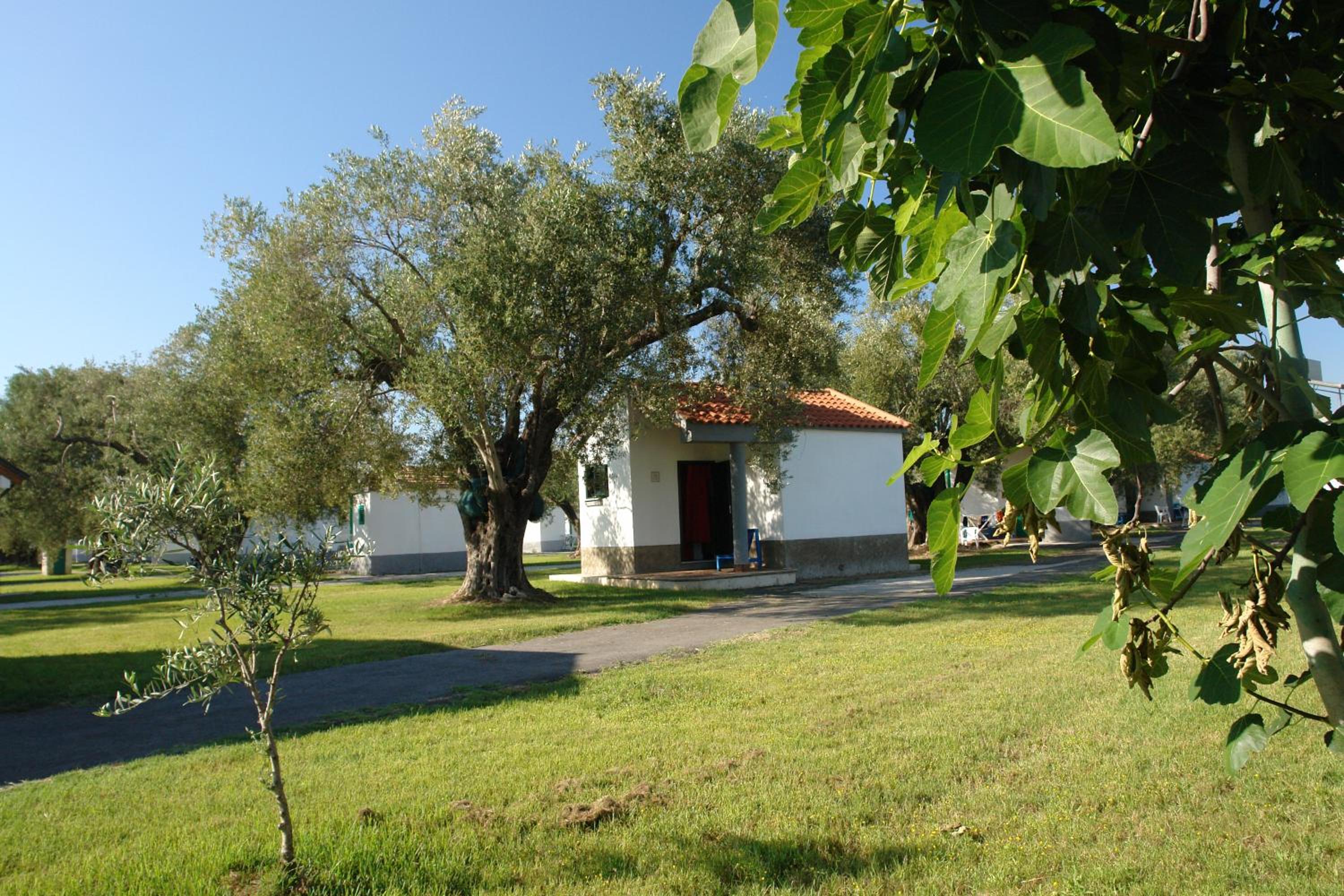 Villaggio Turistico Elea view 4