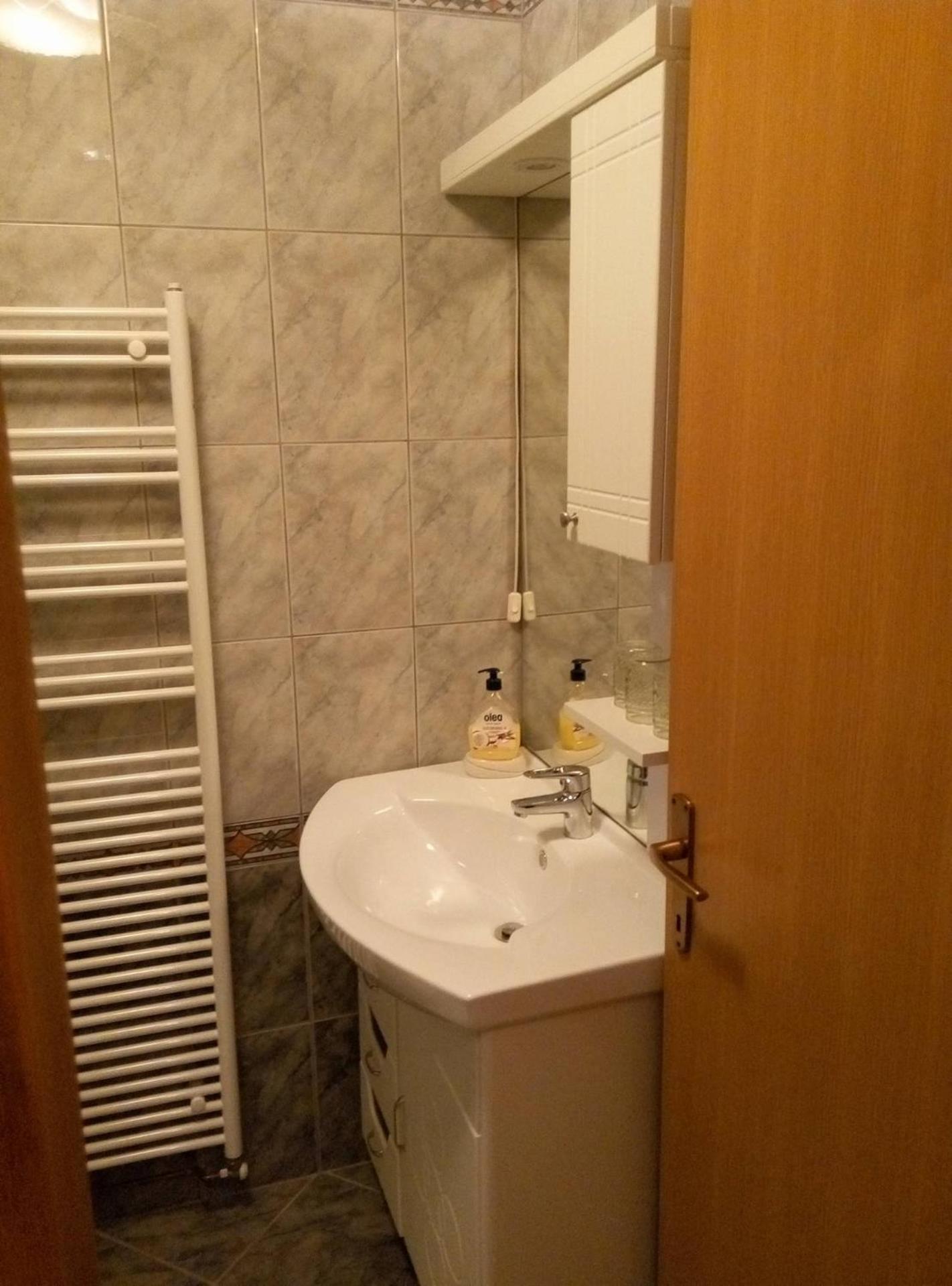 Apartment Resman Tršće view 3