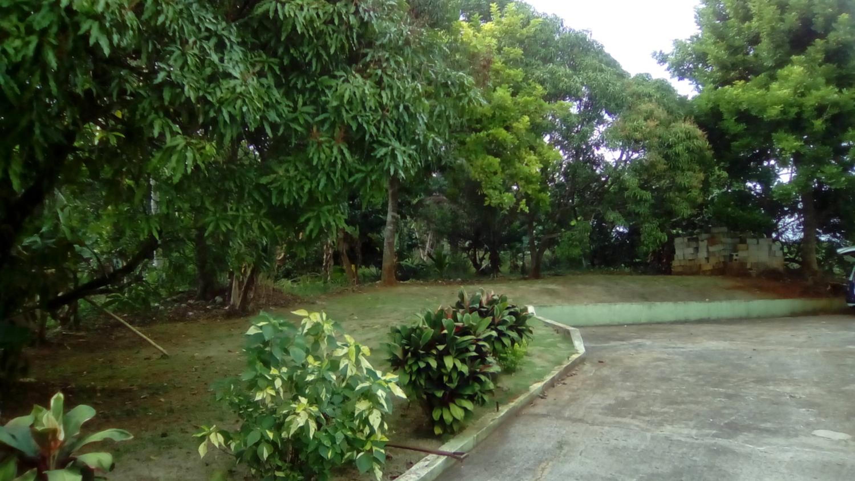 Photo 32