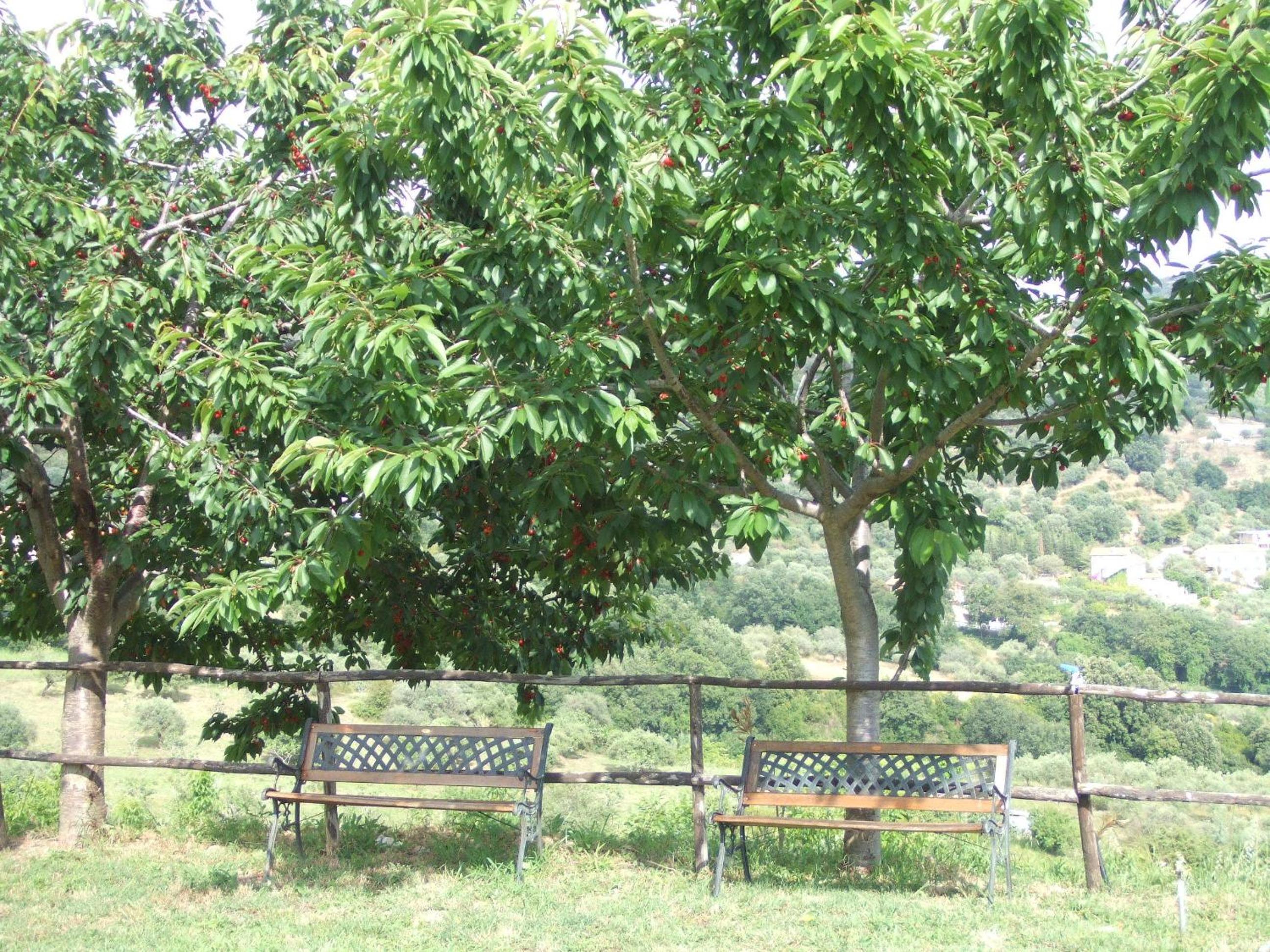 Villa Le Torrette